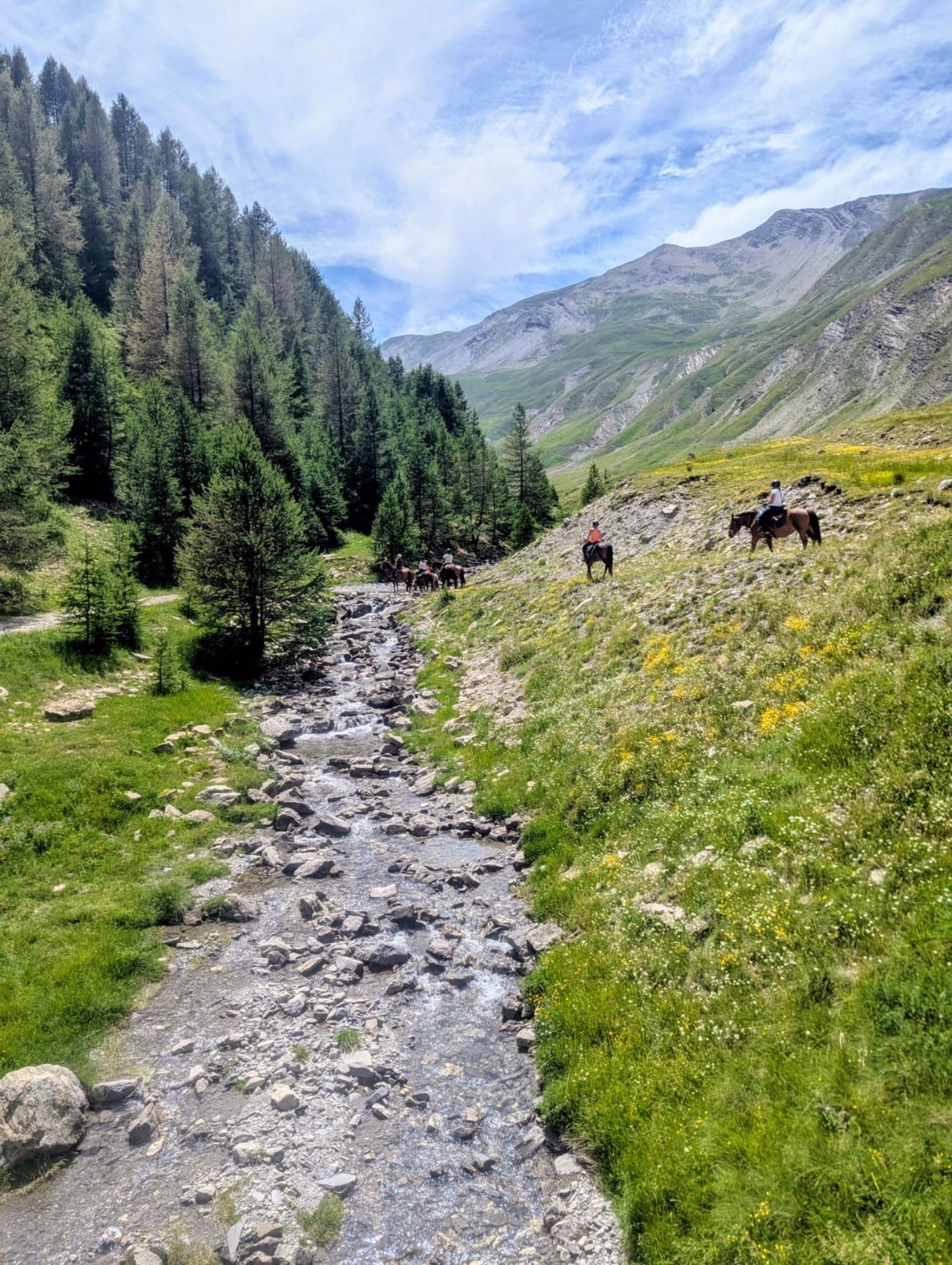 Randonnée équestre en Ubaye et tunnel du Parpaillon