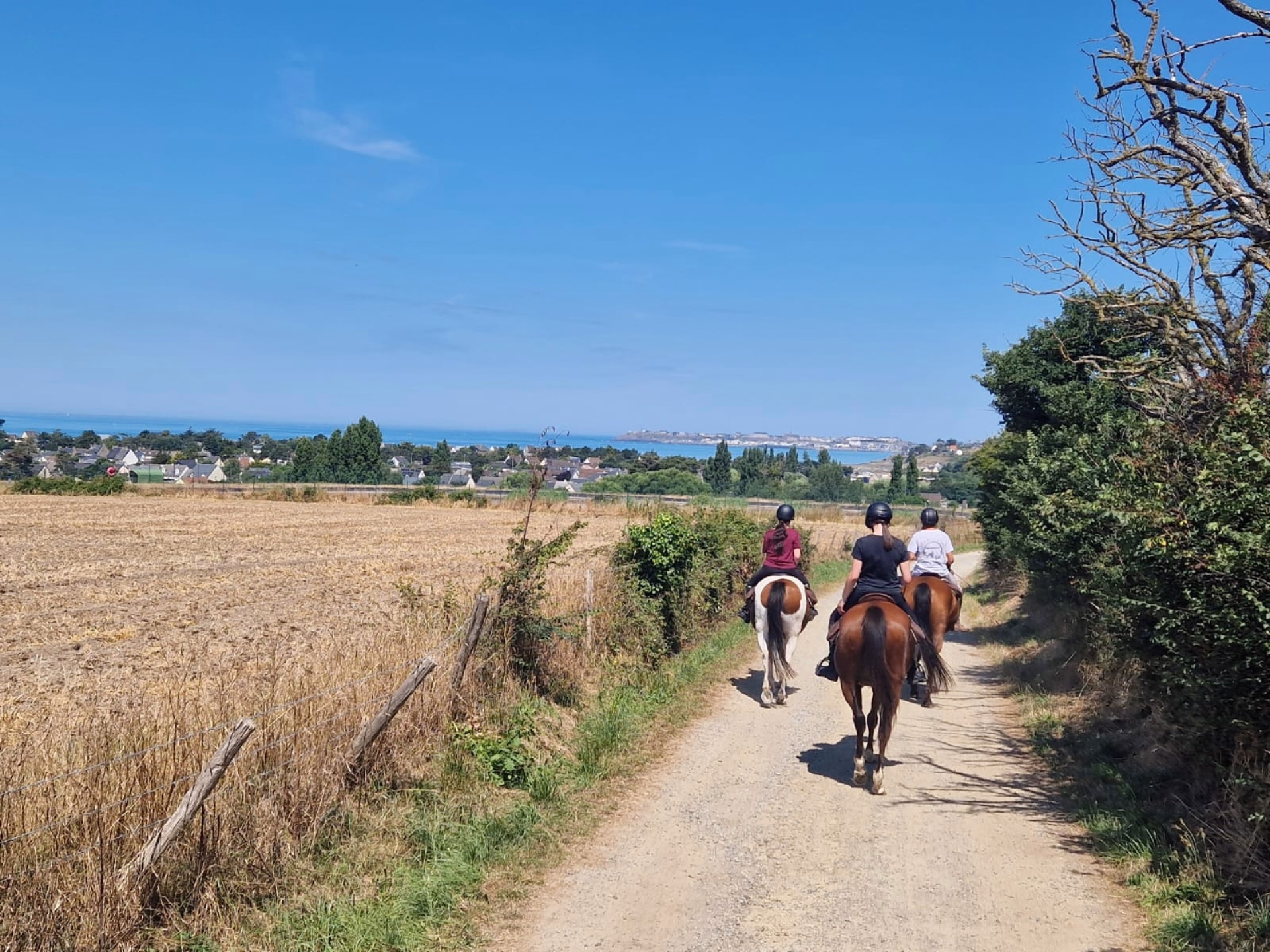 Randonnée à cheval sur les plages de Normandie