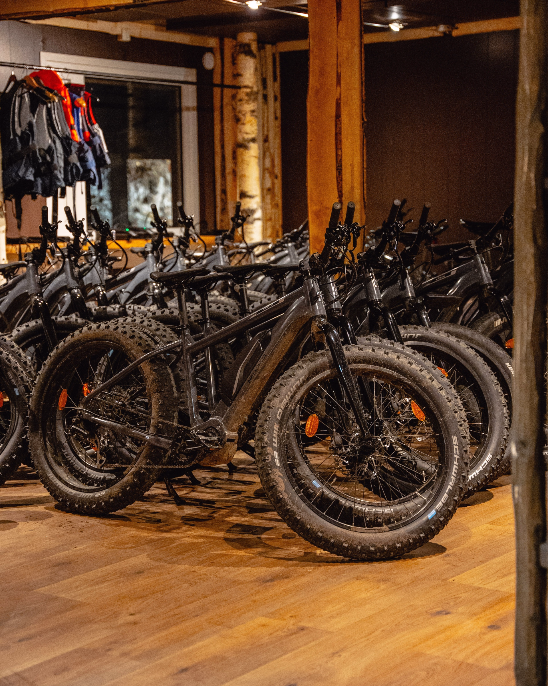 Évasion en Finlande : Nature, Action & Authenticité