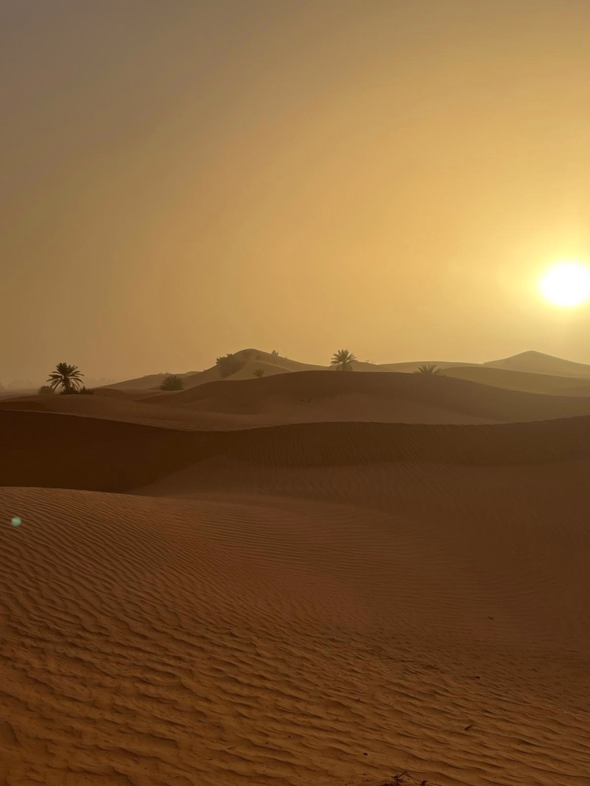 4 jours au cœur des dunes du Sahara marocain