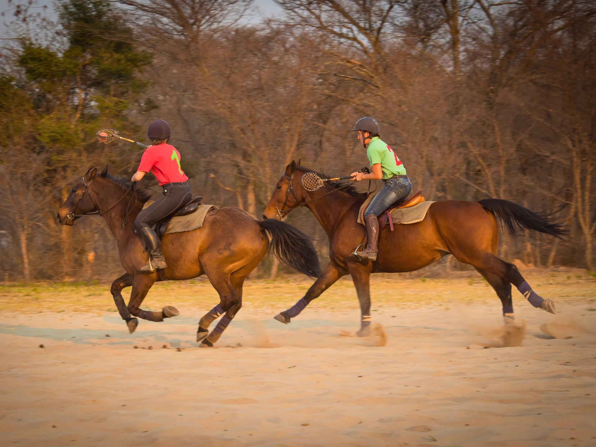 Safari à cheval, de l'Afrique du Sud au Botswana