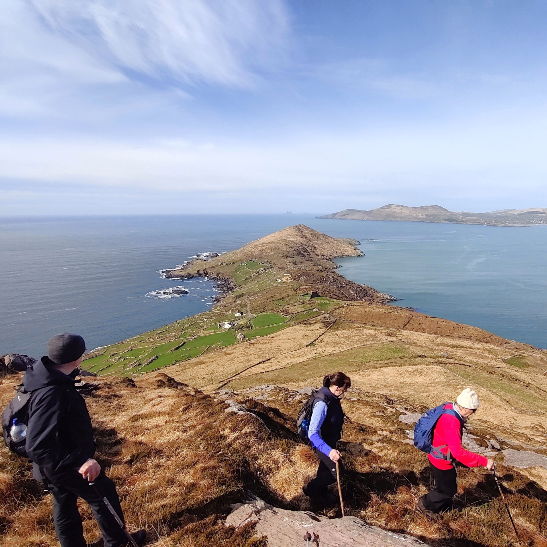 Randonnée côtière guidée sur l'itinéraire sauvage du Ring of Kerry
