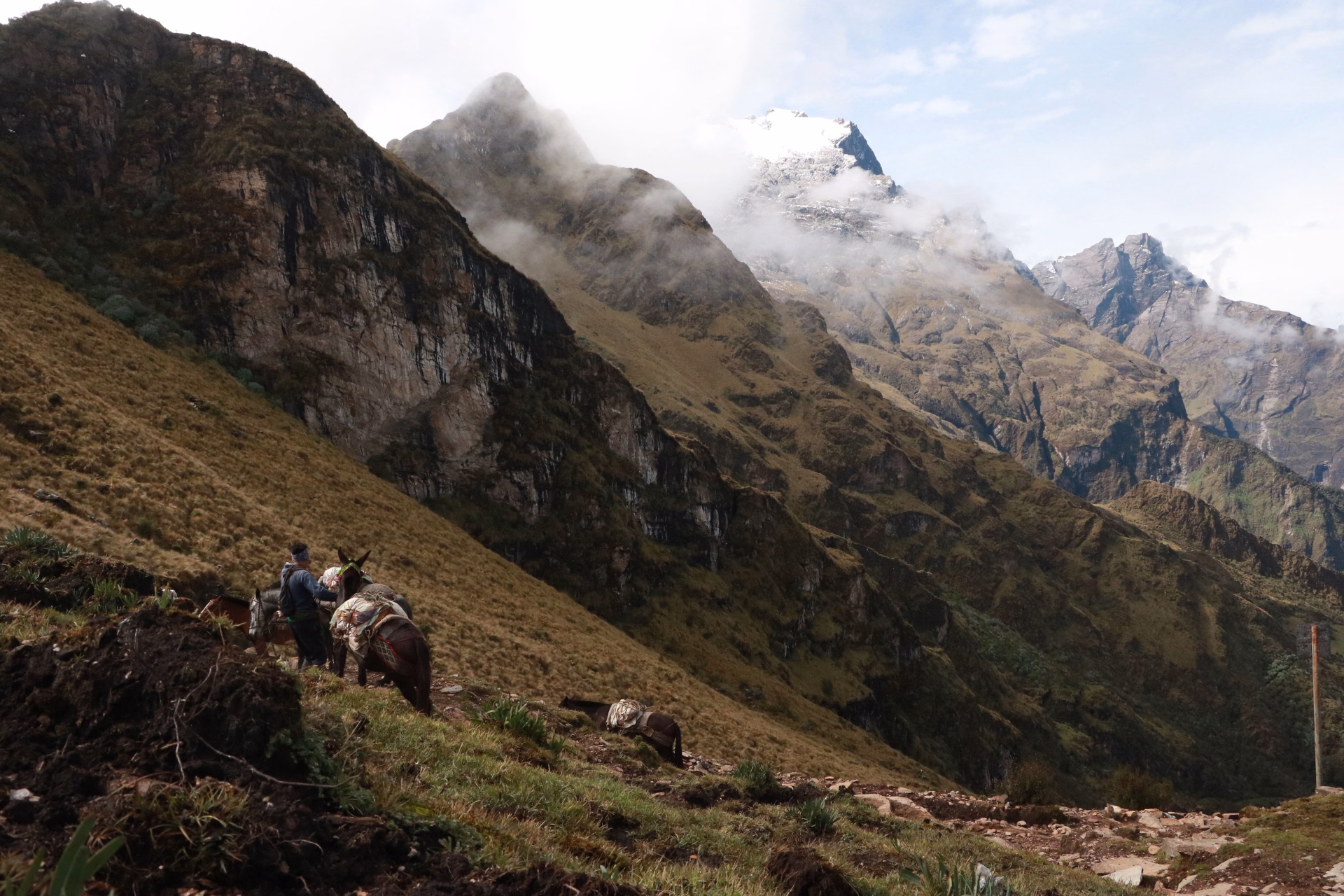 Trek d’altitude au cœur des Andes, de Choquequirao au Machu Picchu