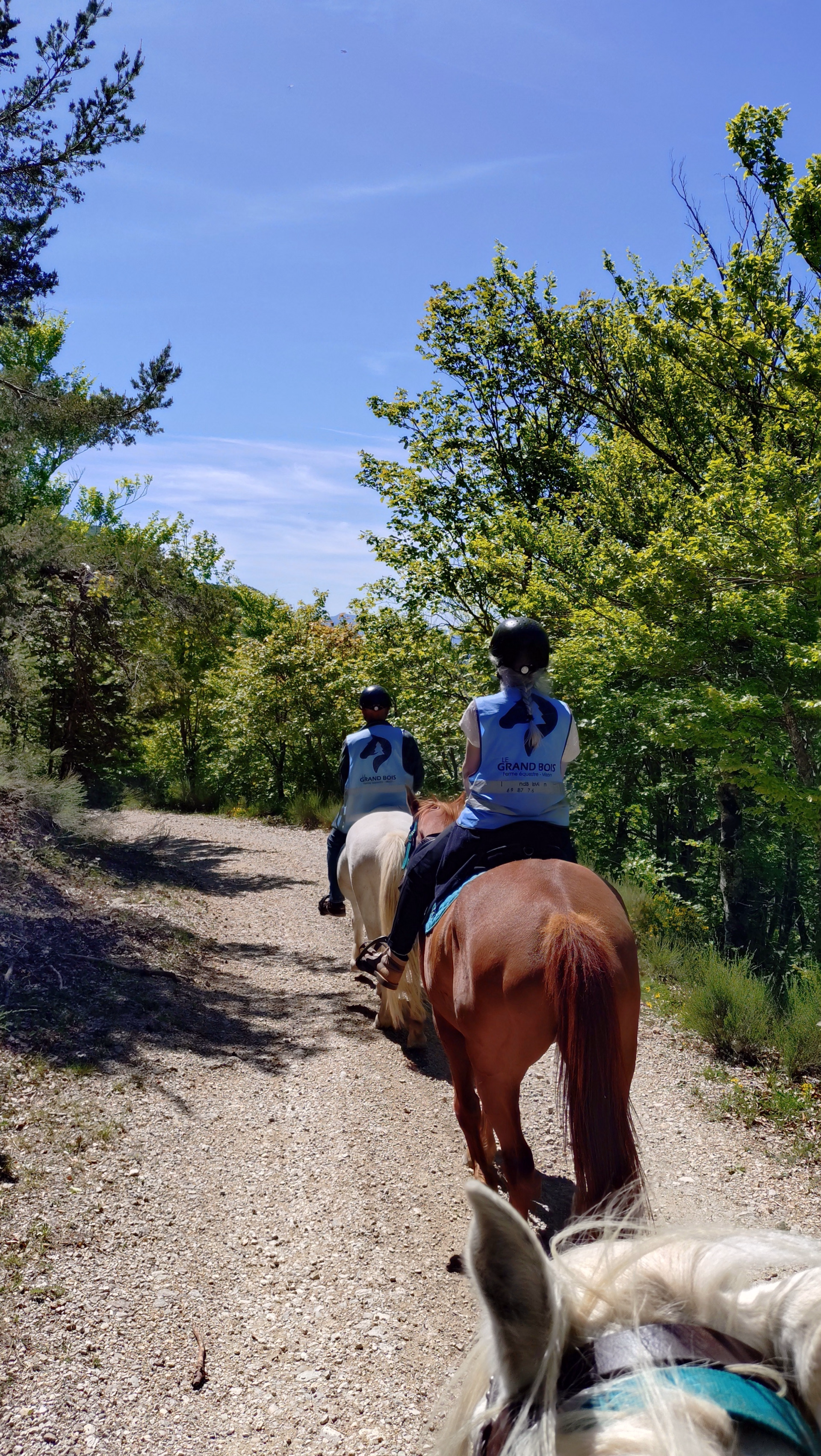 Rando cheval et yoga dans les Hautes-Alpes