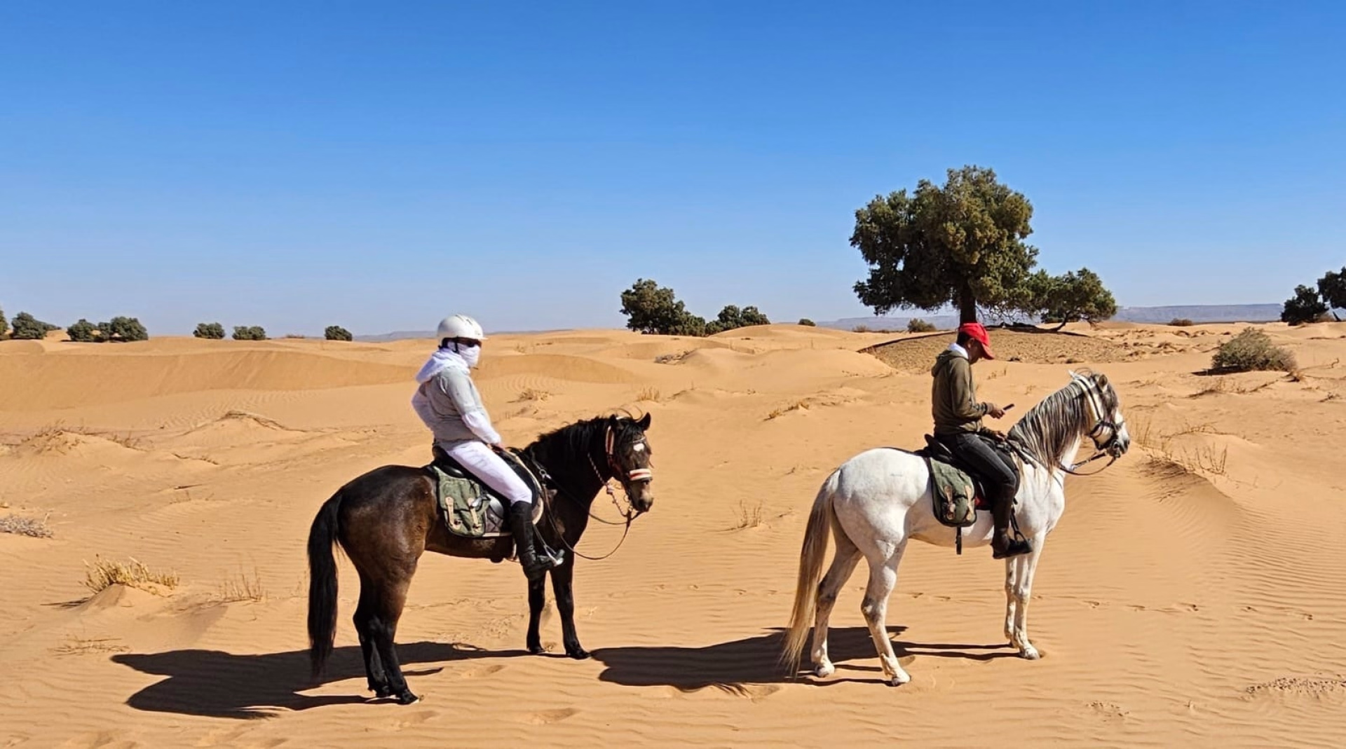 Expédition à cheval aux Portes du Sahara