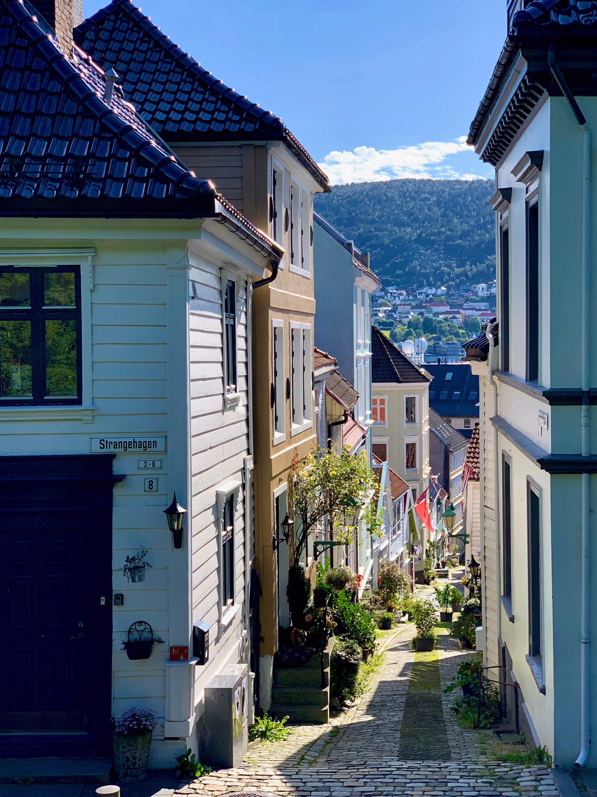 Randonnée en Norvège : à la conquête des sommets de Scandinavie