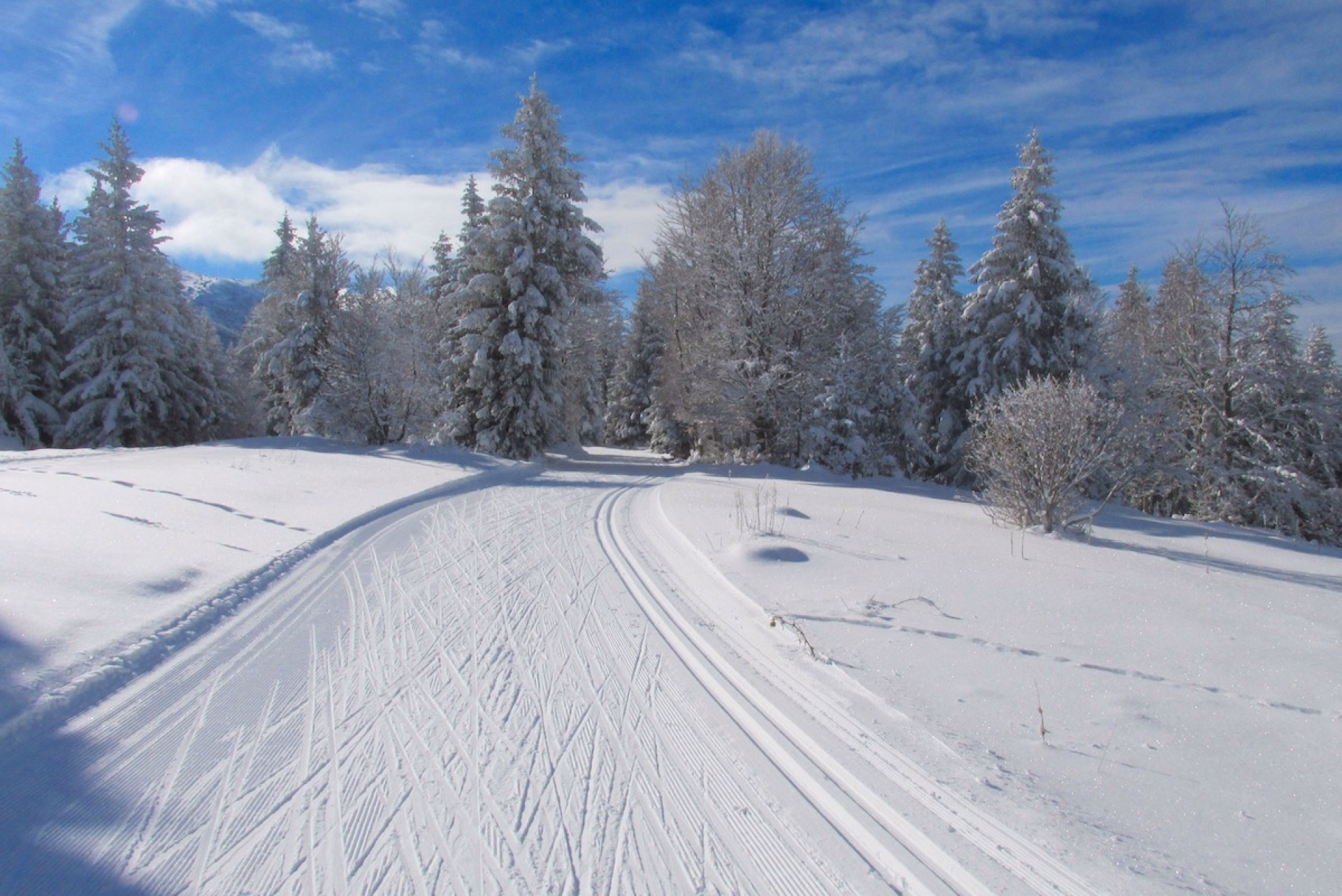 Initiation au ski de randonnée nordique dans le Vercors