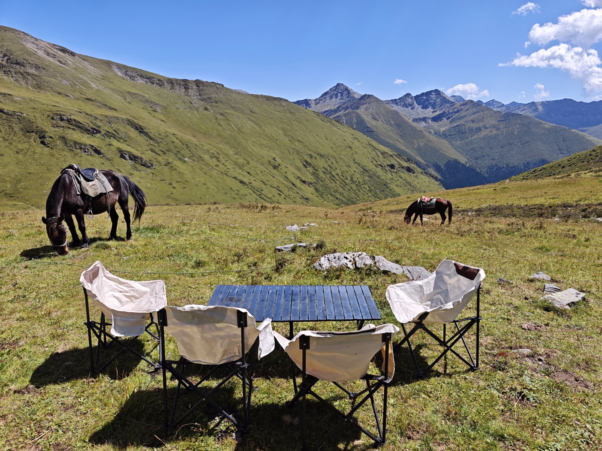 Chevauchée tibétaine au Sichuan : des sommets aux prairies