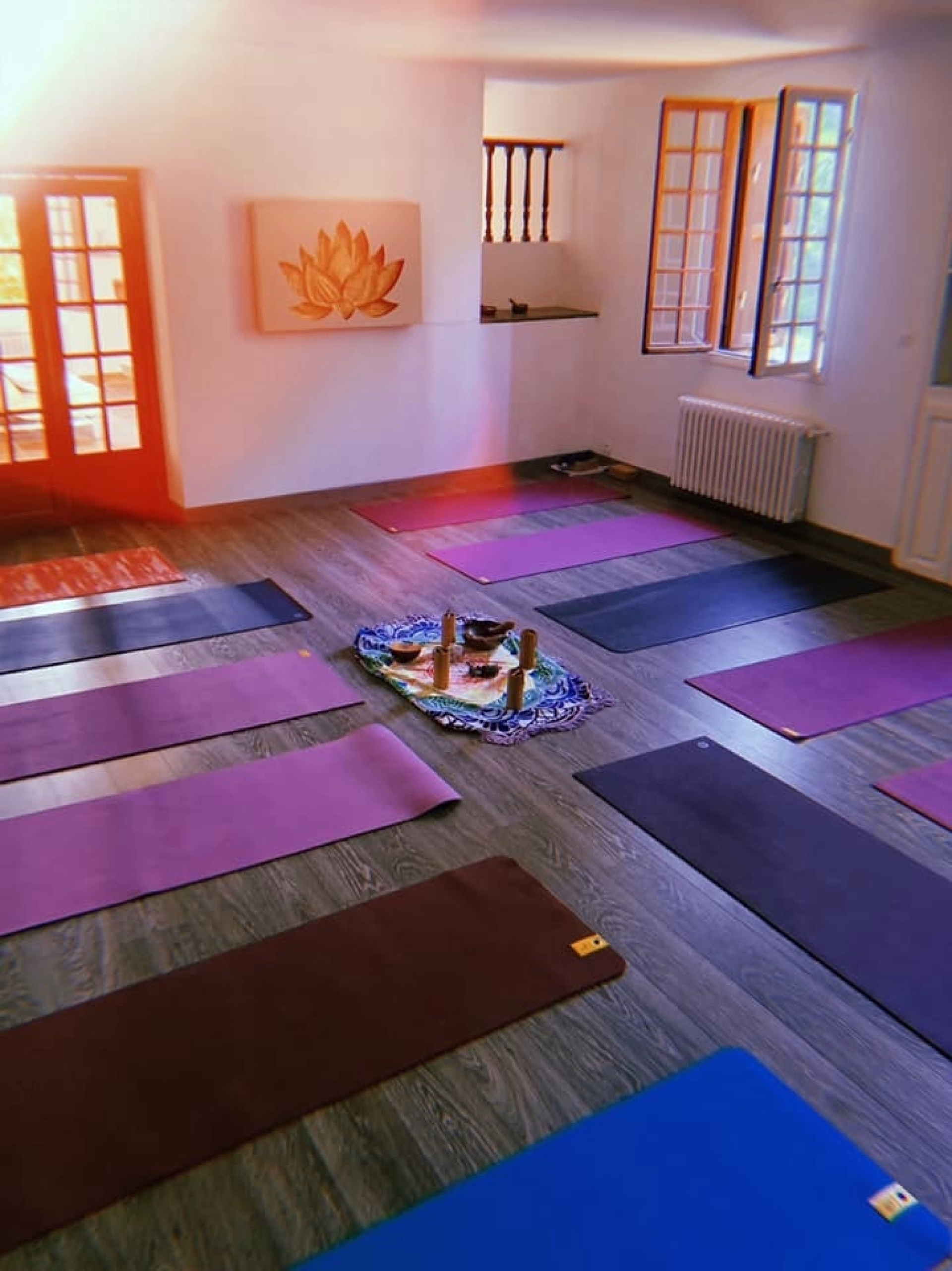 Stage de Yoga & 5 éléments
