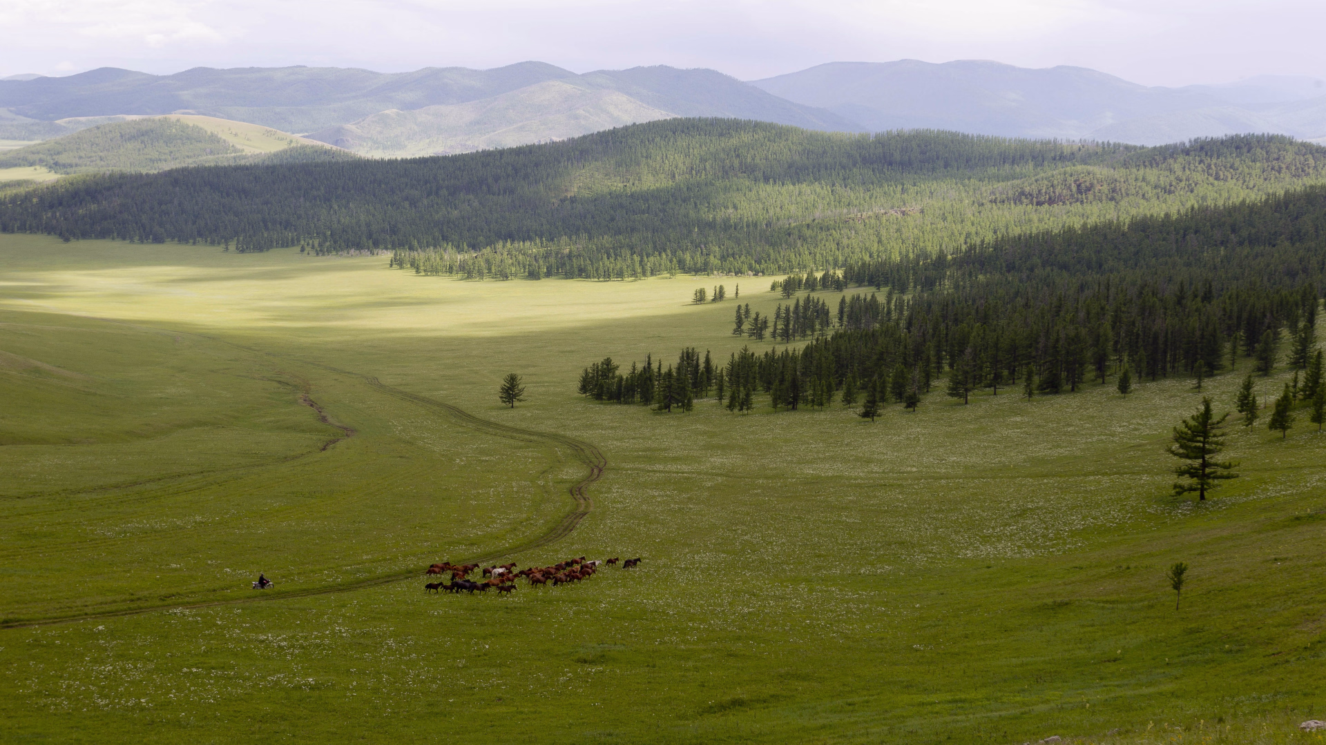 Randonnée équestre en Mongolie de l’Orkhon au désert de Gobi