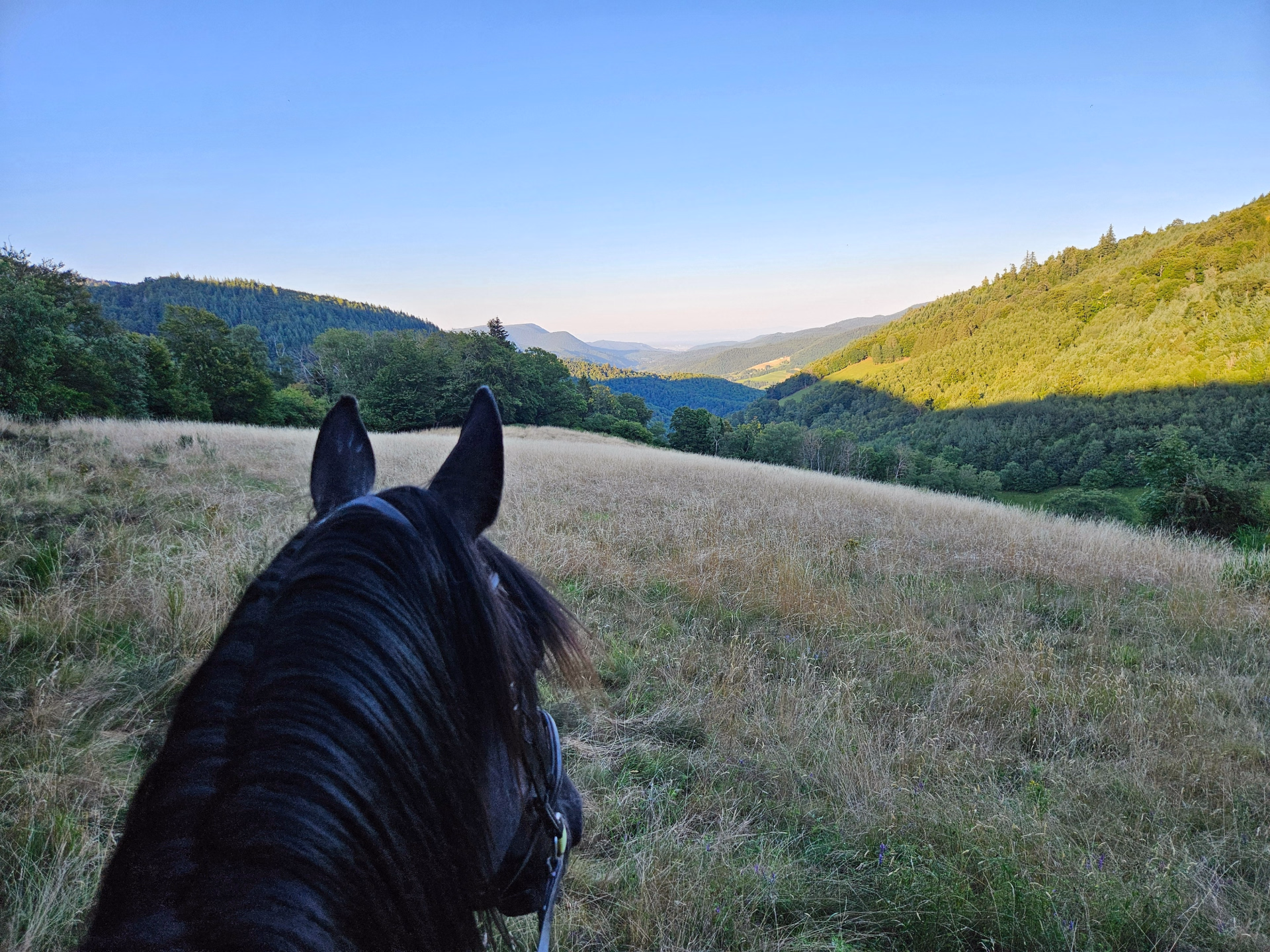 Week-end équestre dans les Vosges