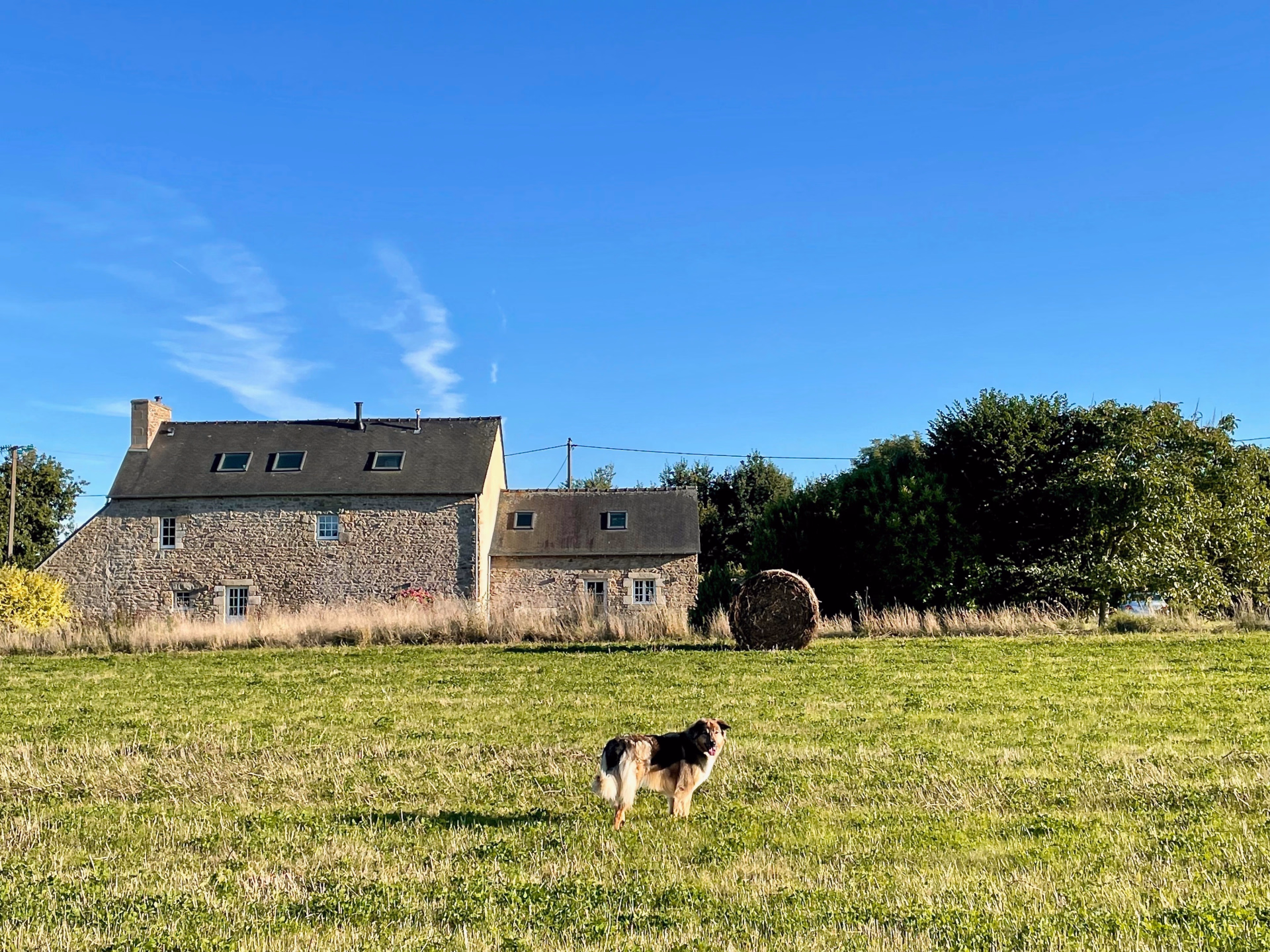 🏠 Gîte - Jours 1 à 8
