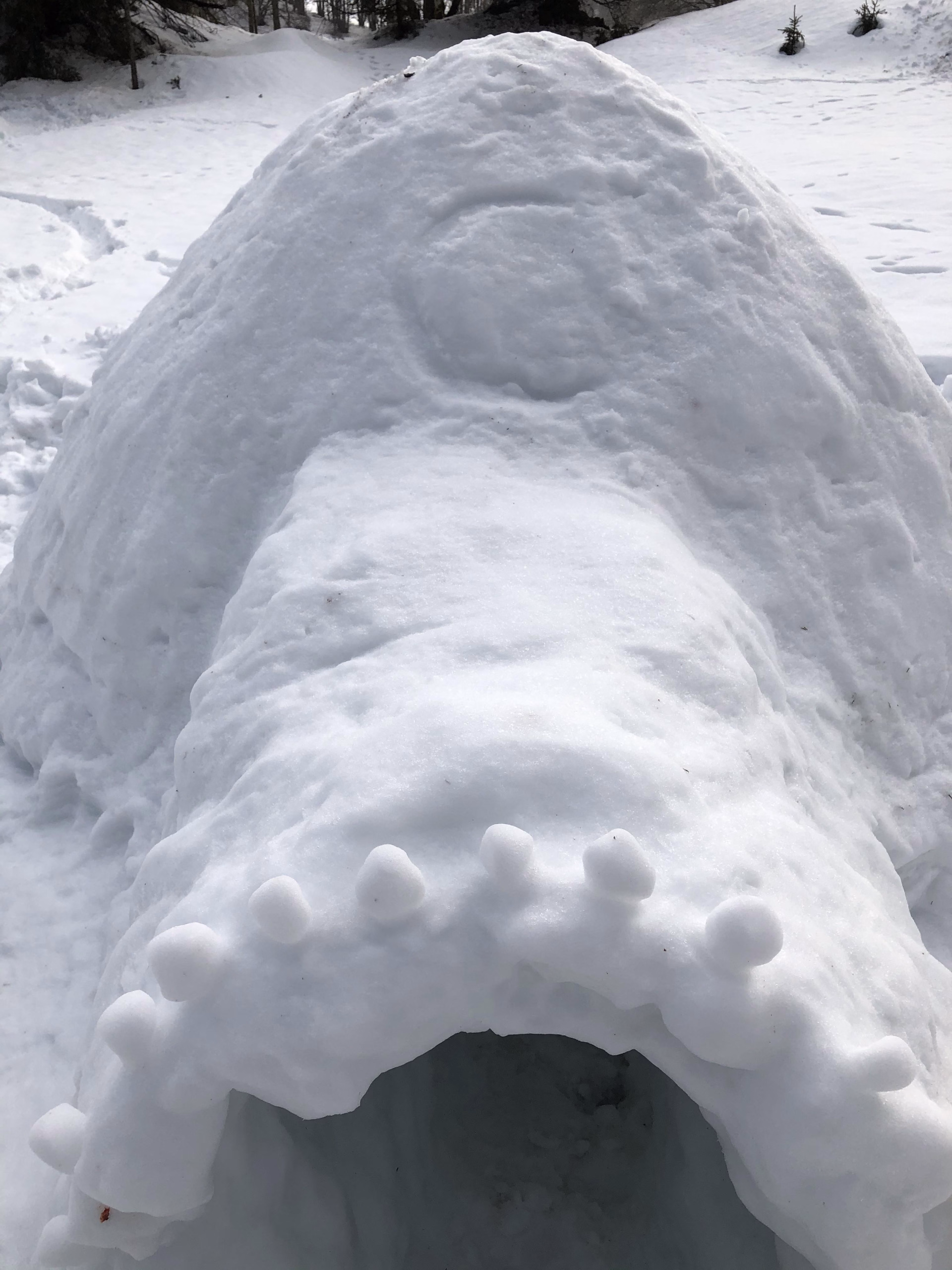 Stage de survie grand froid dans le Jura en igloo