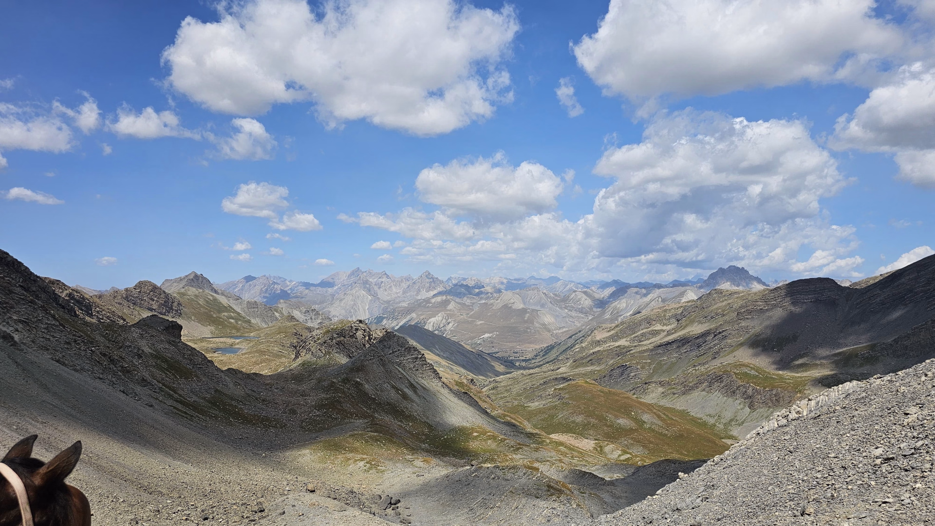 Randonnée équestre et bivouac dans les Alpes, entre France et Italie