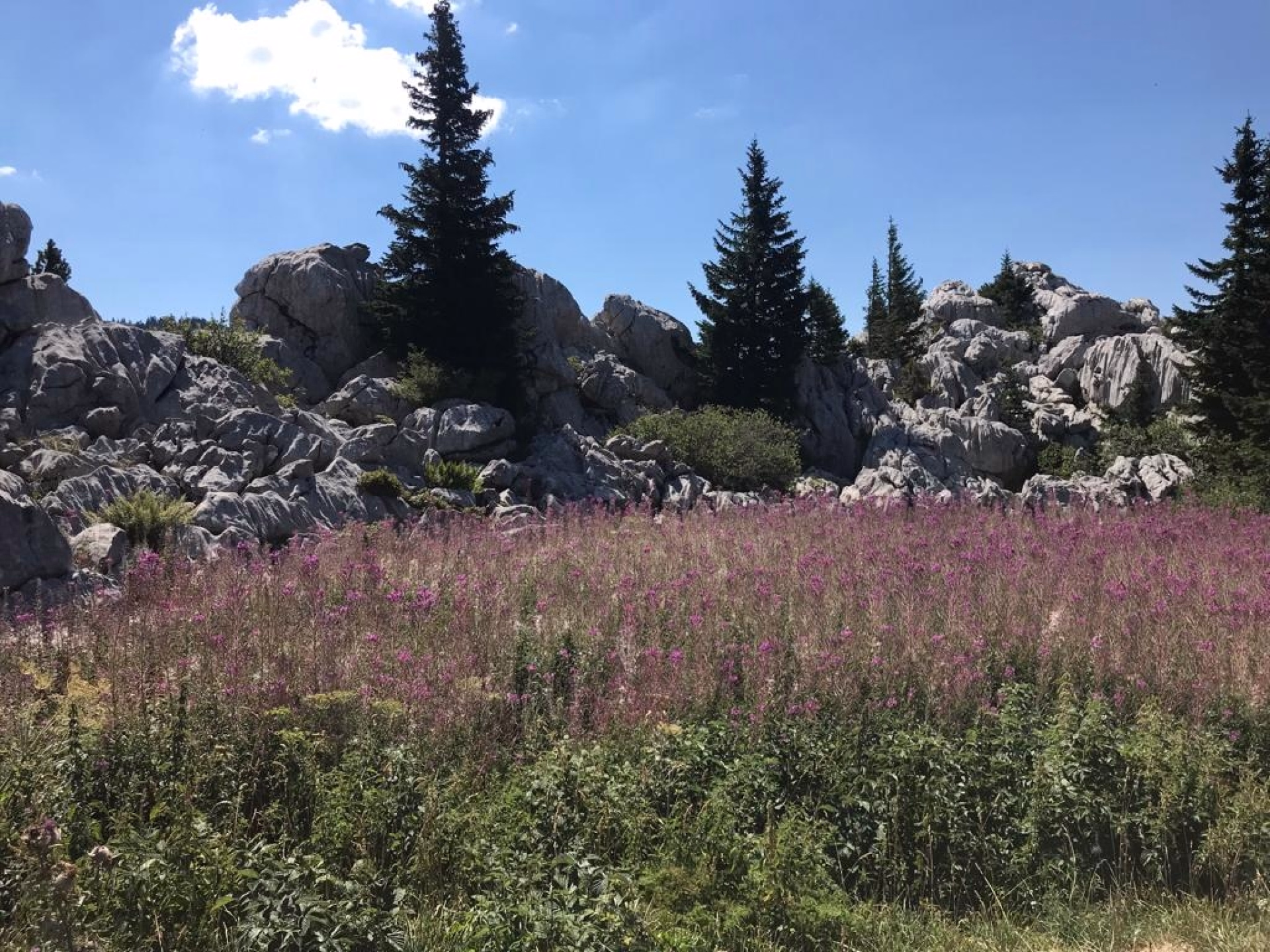 Aventure de randonnée en autonomie de refuge en refuge en Croatie