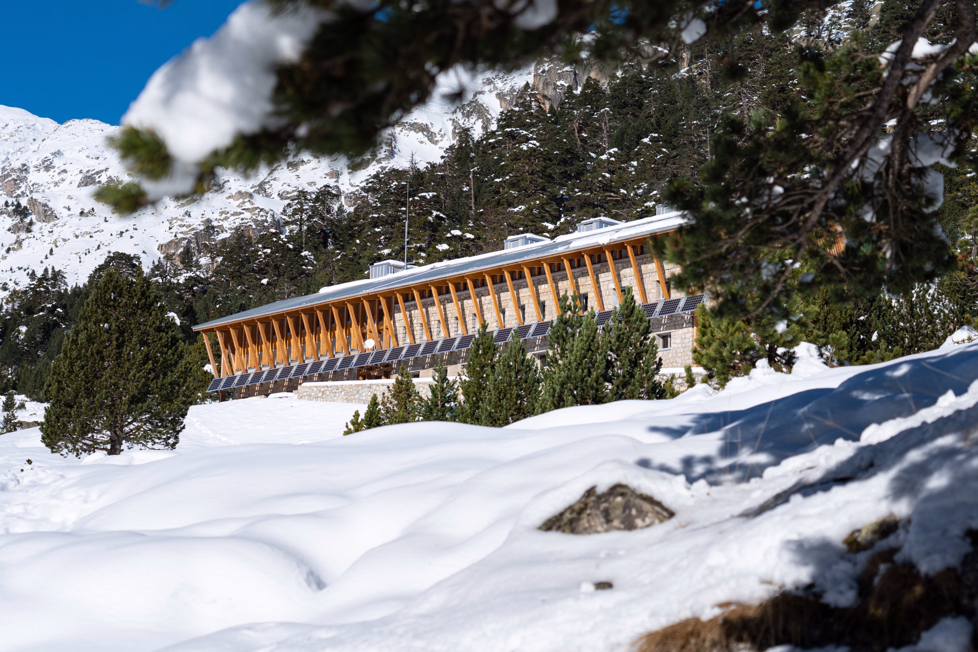 🏔️ Rifugio - Giorni 1 a 3