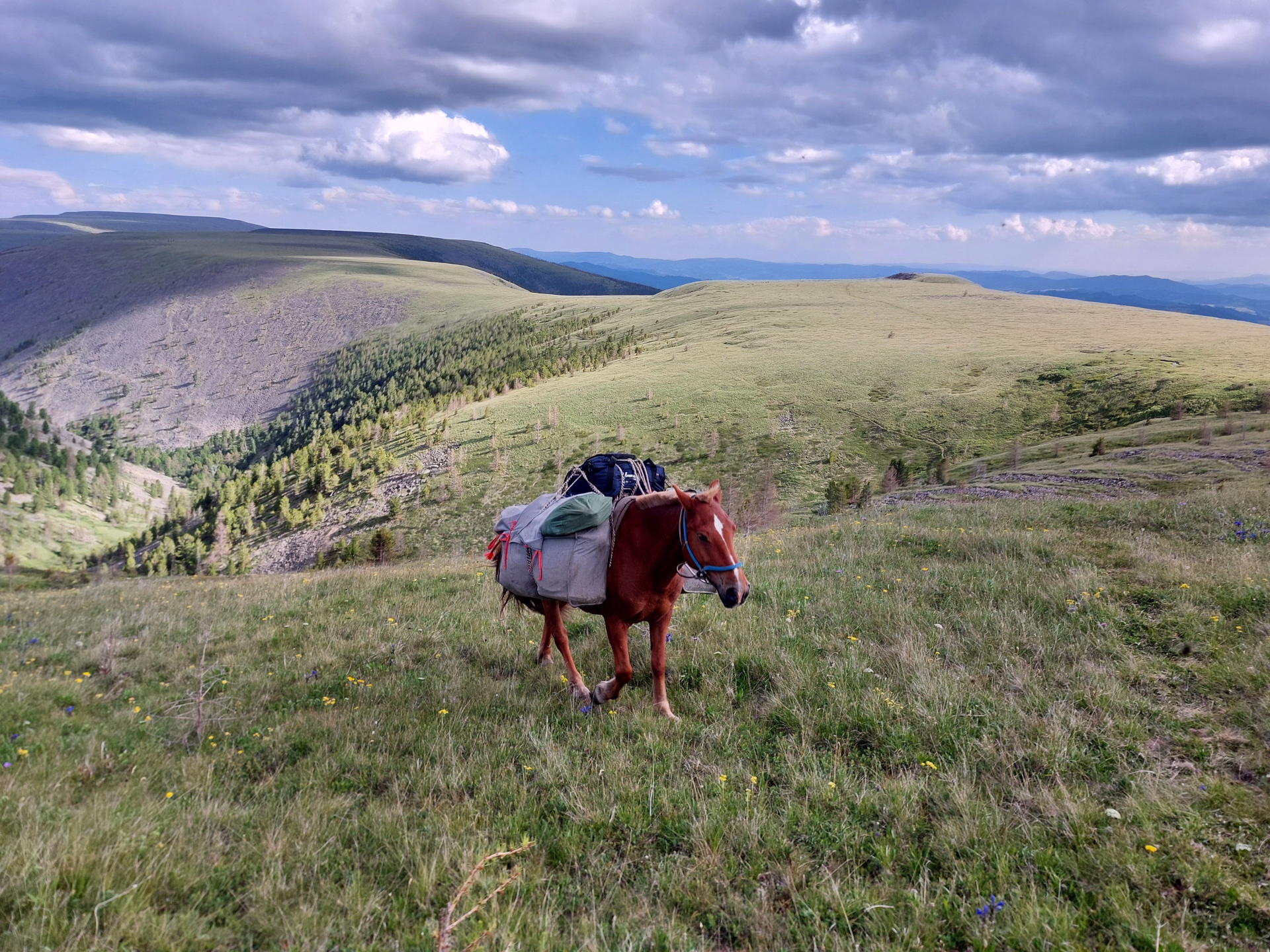 Randonnée à cheval dans le parc national de Terelj en Mongolie