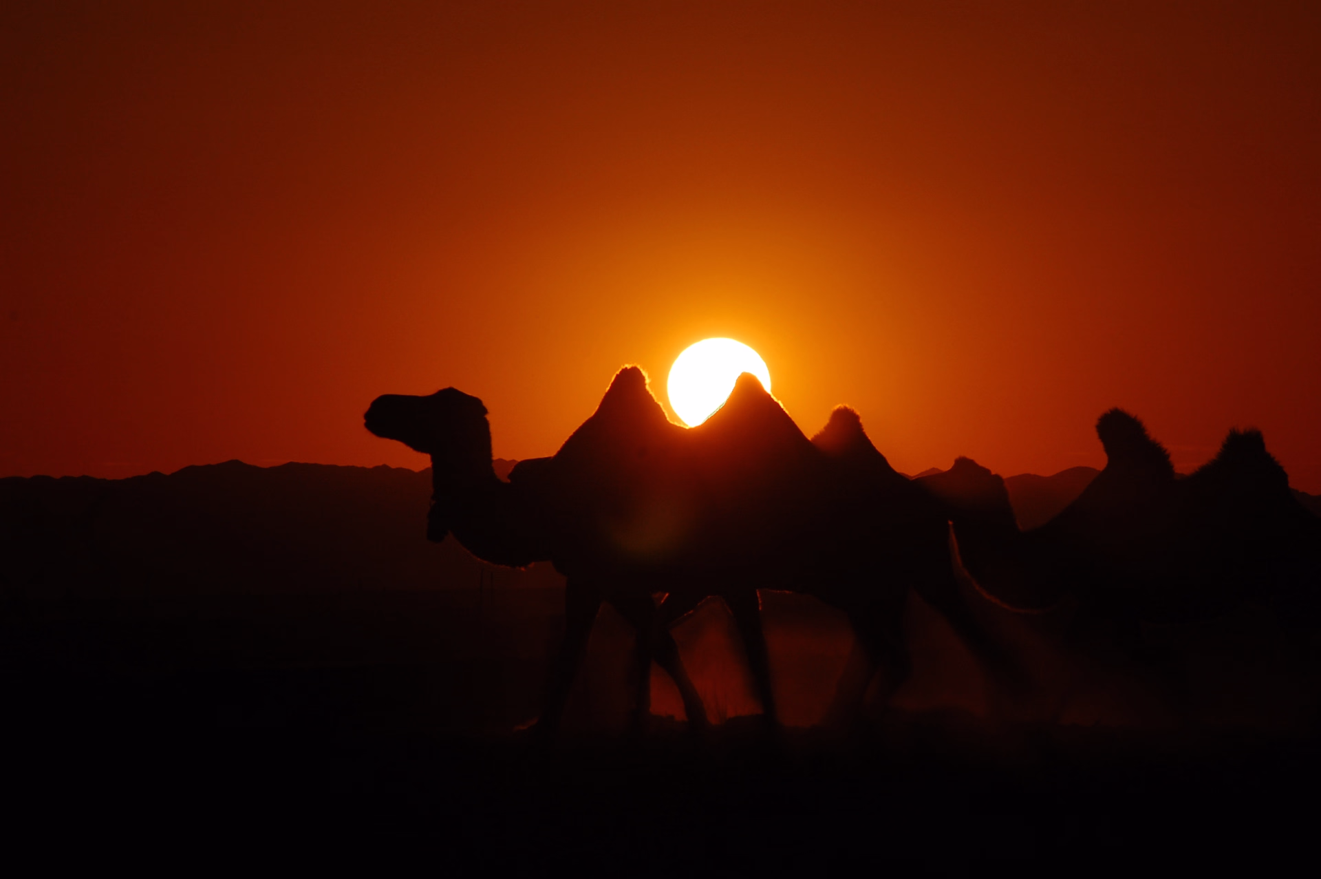 Trek et expédition 4x4 dans le désert de Gobi