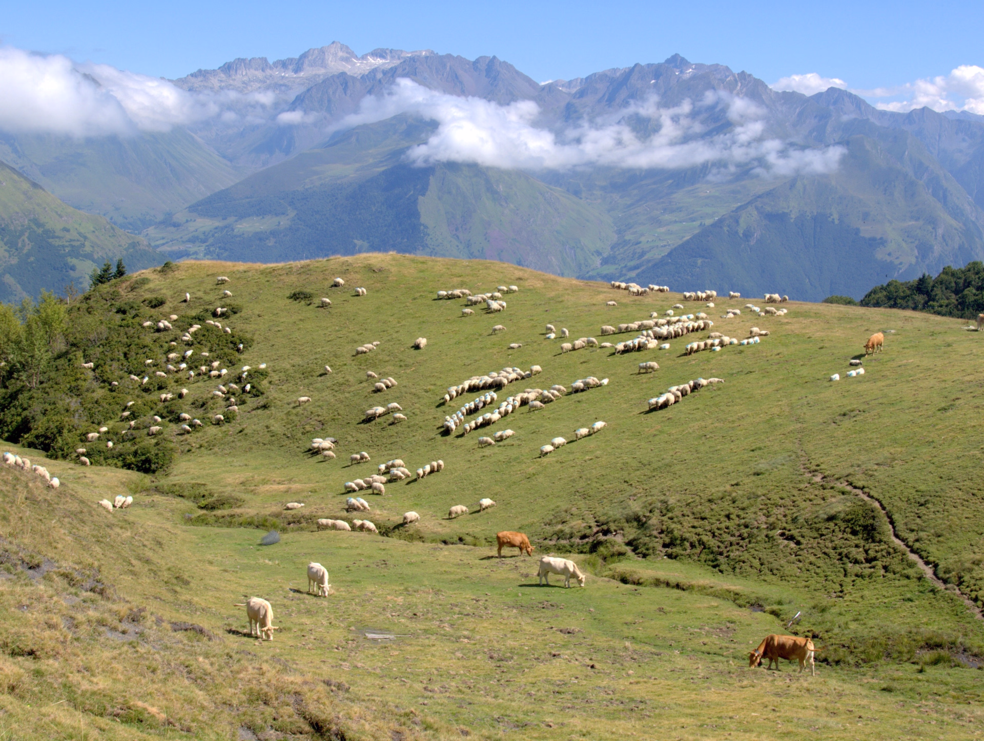 Mon premier bivouac dans les Pyrénées - Les crêtes du Viscos