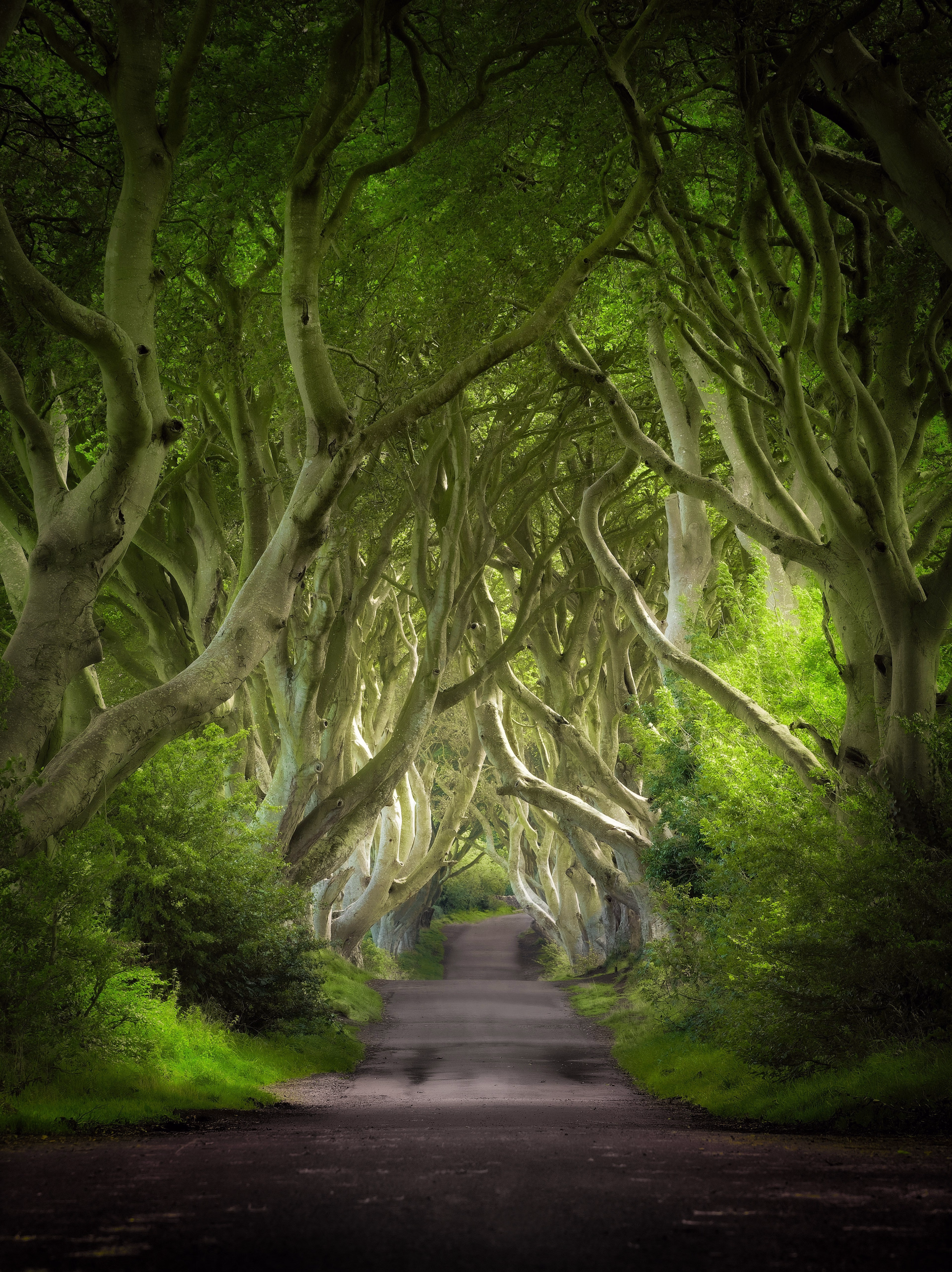 Irlande en pleine conscience