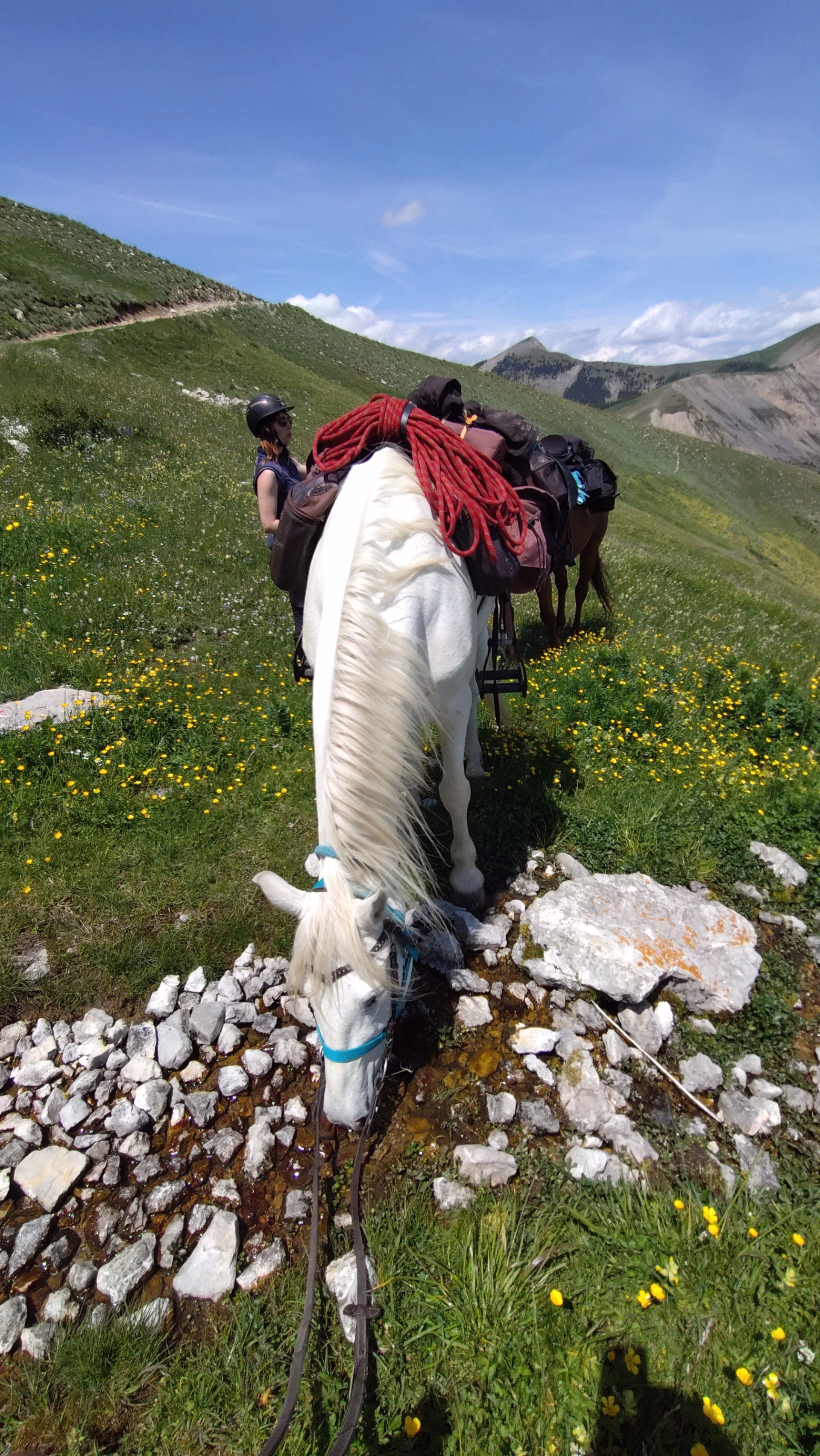 Tour des Monges à cheval
