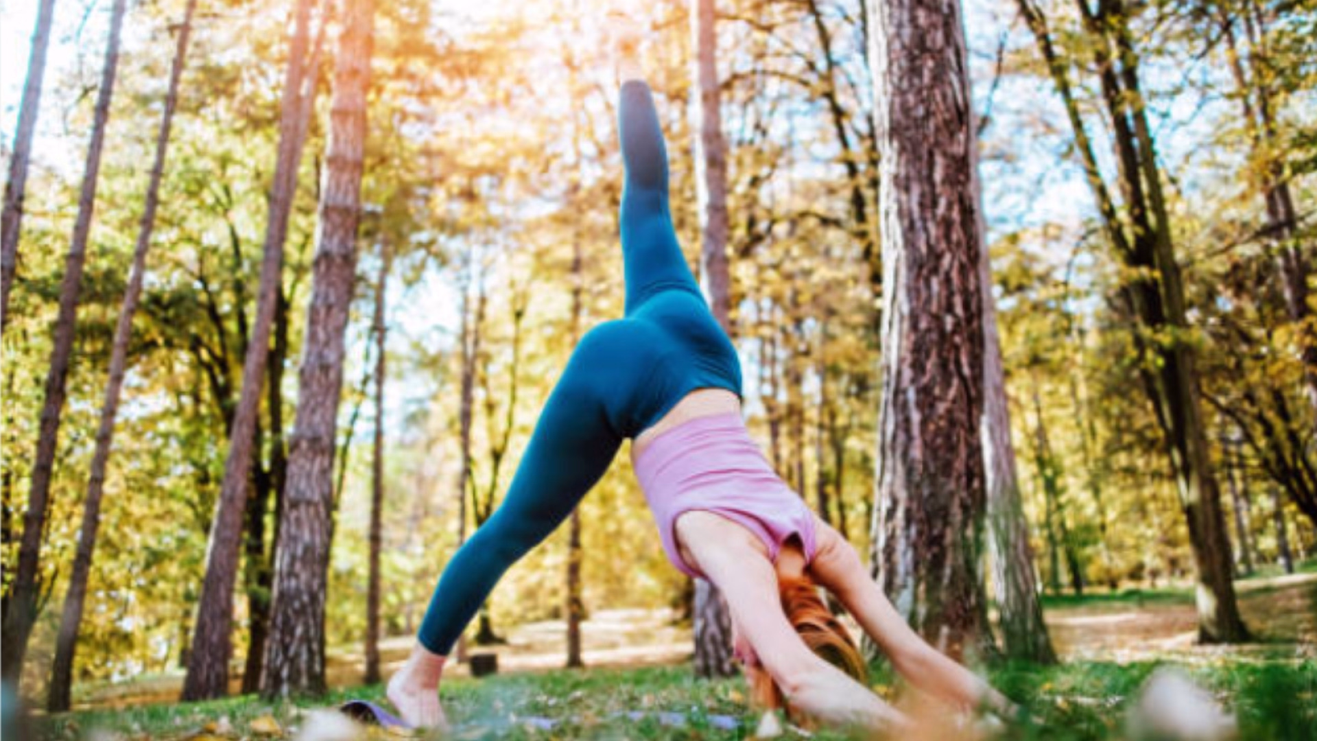 Retraite yoga dans la Drôme : régénérer son système nerveux