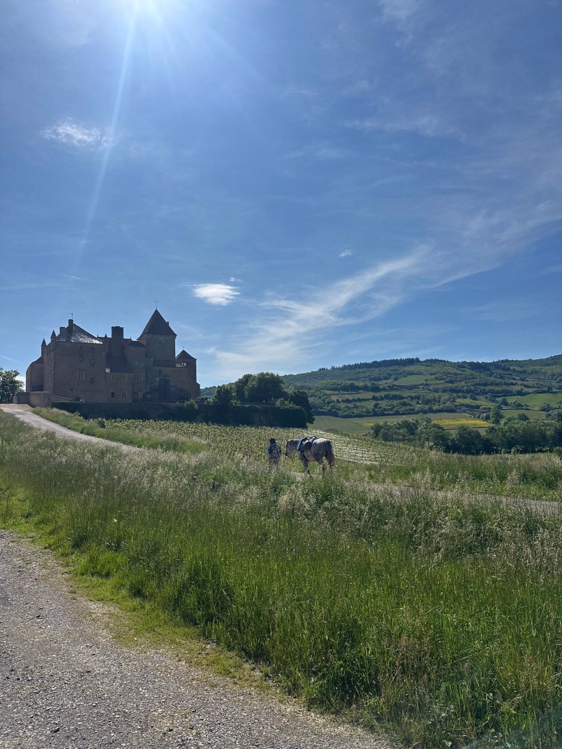 Reiten durch Weinberge und Geschichte, von Burgund bis Beaujolais