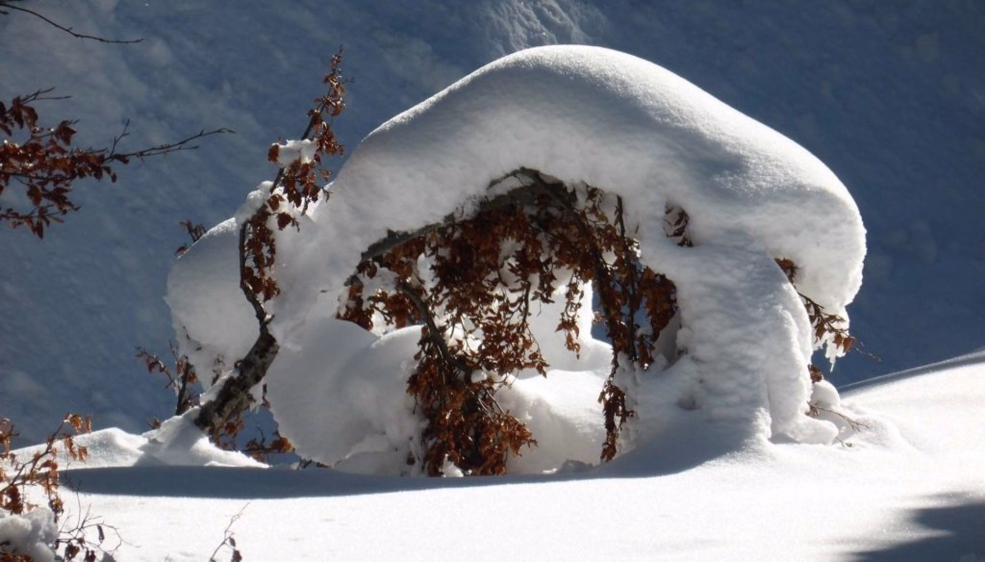 Escapades hivernales dans les volcans d'Auvergne