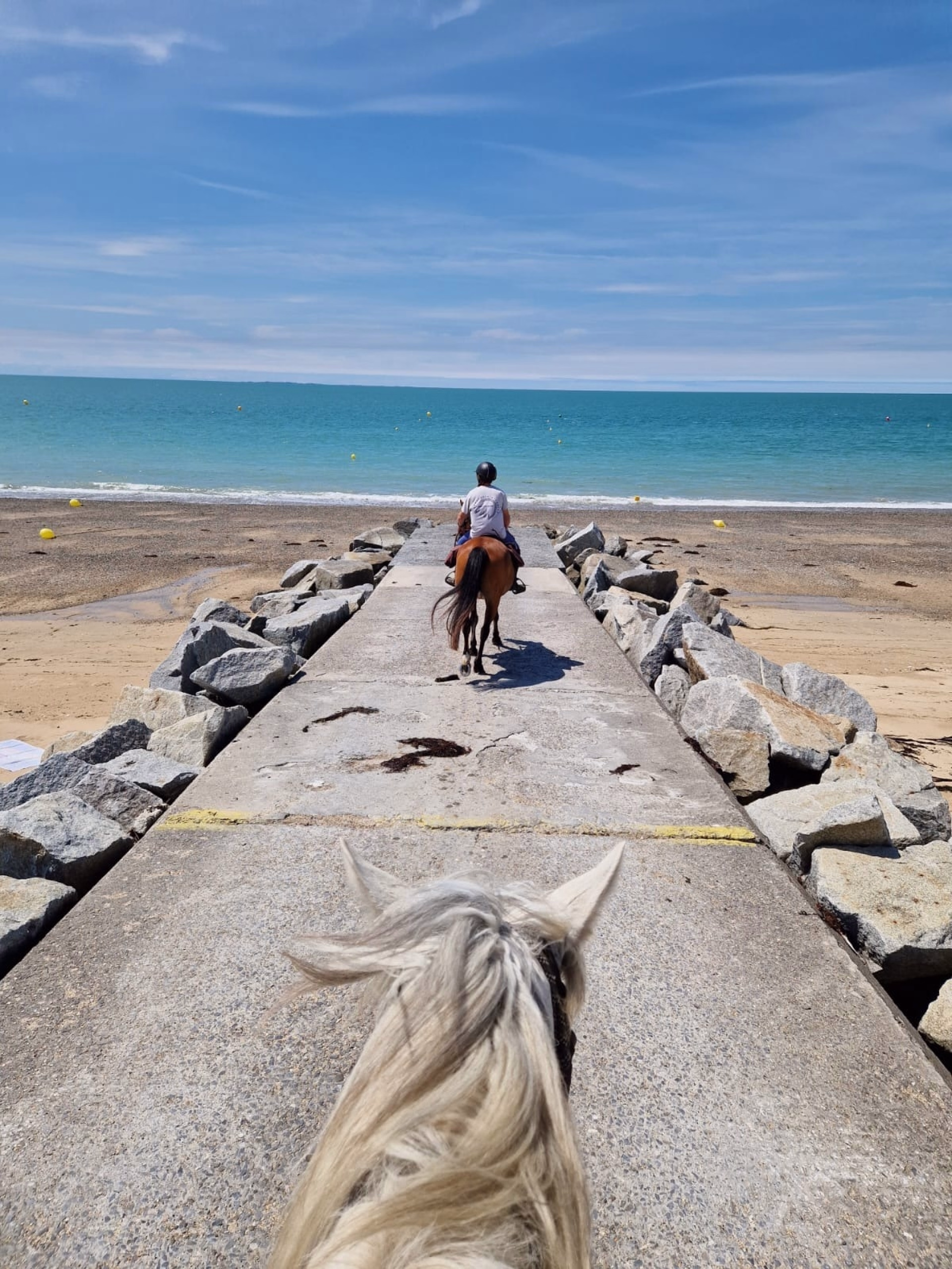Randonnée à cheval sur les plages de Normandie
