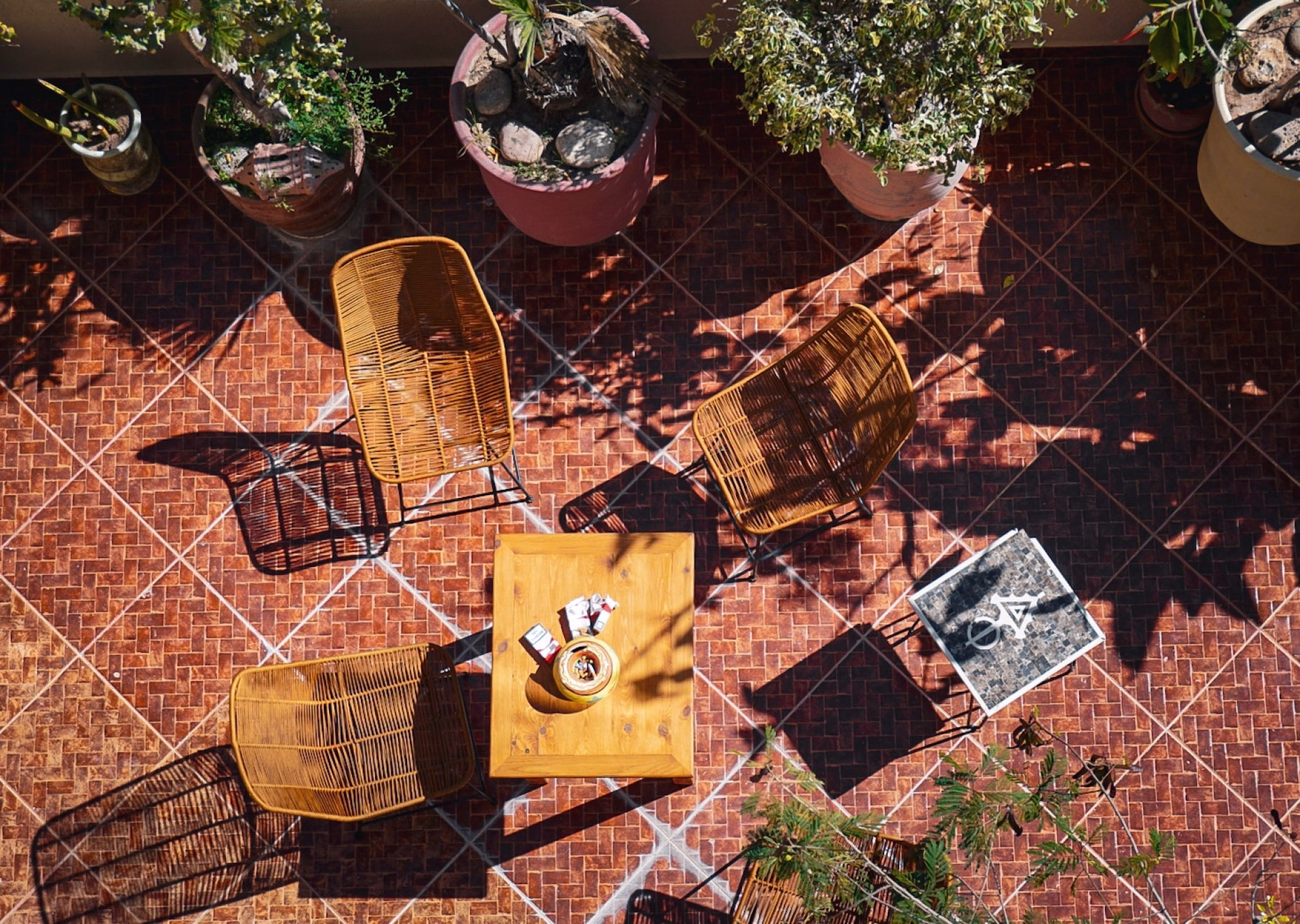 Surf camp et hospitalité marocaine à Tamraght