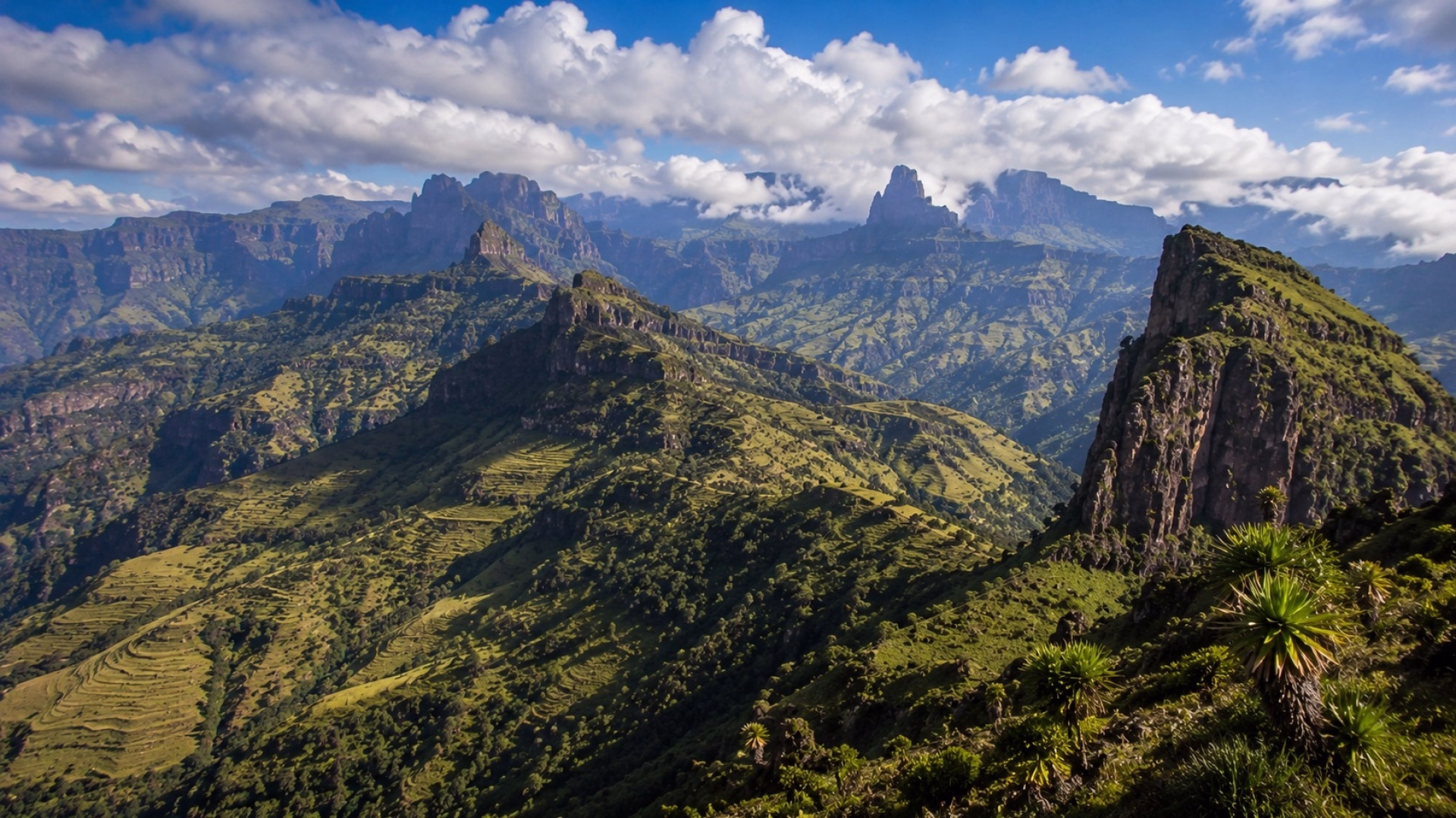 Aventure dans le nord de l'Éthiopie : les montagnes du Simien