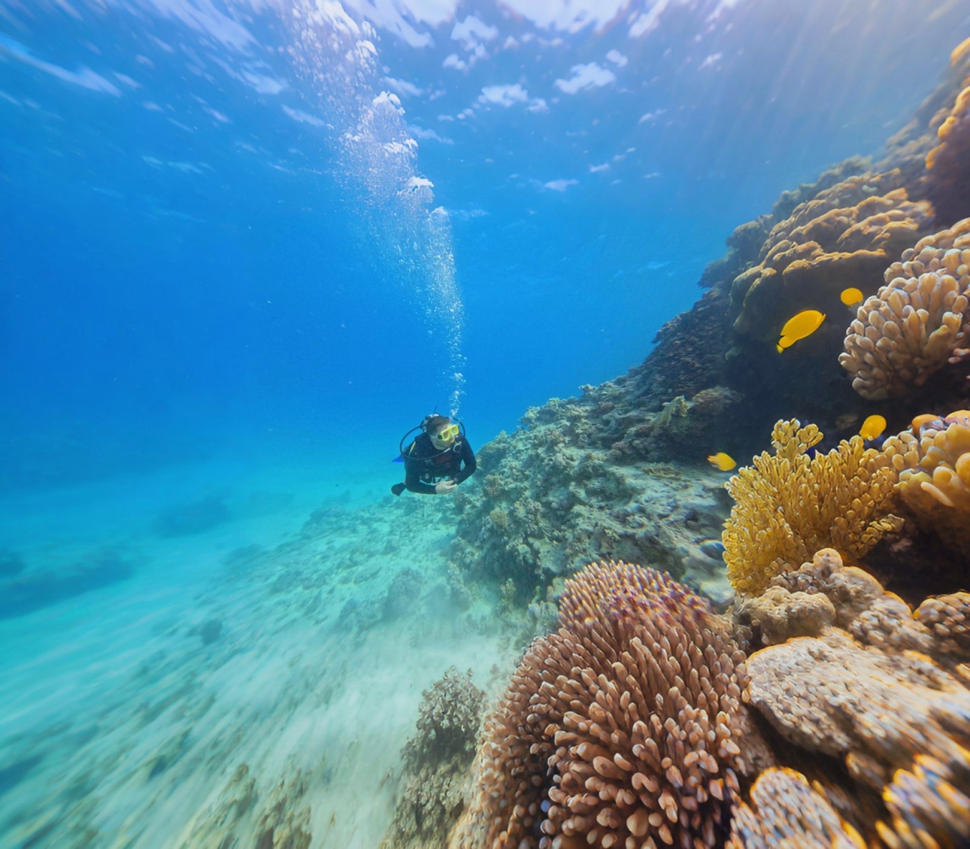 Plongée niveau intermédiaire et snorkeling à Charm el-Cheikh