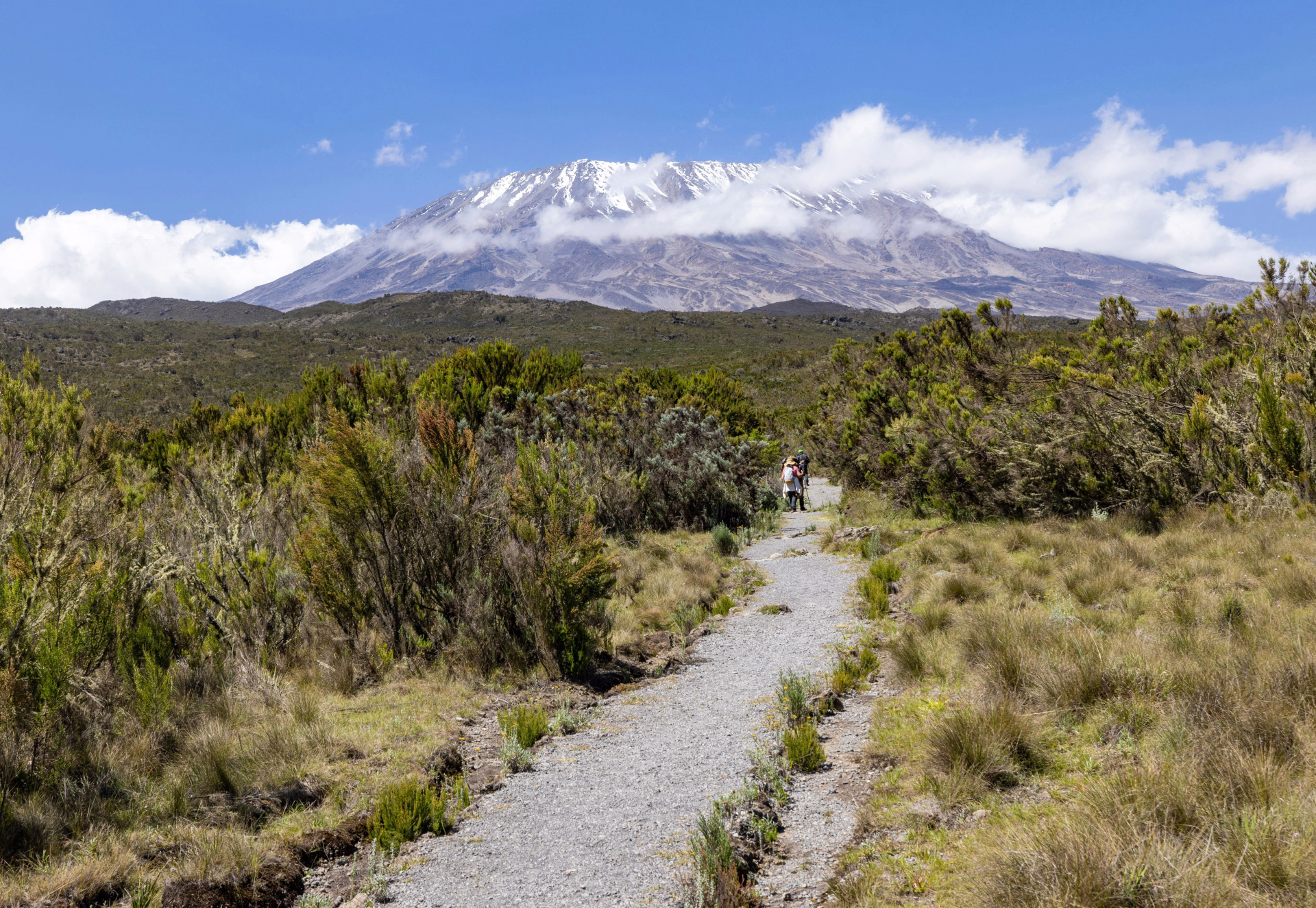 6 Day Kilimandjaro voie Machame Route