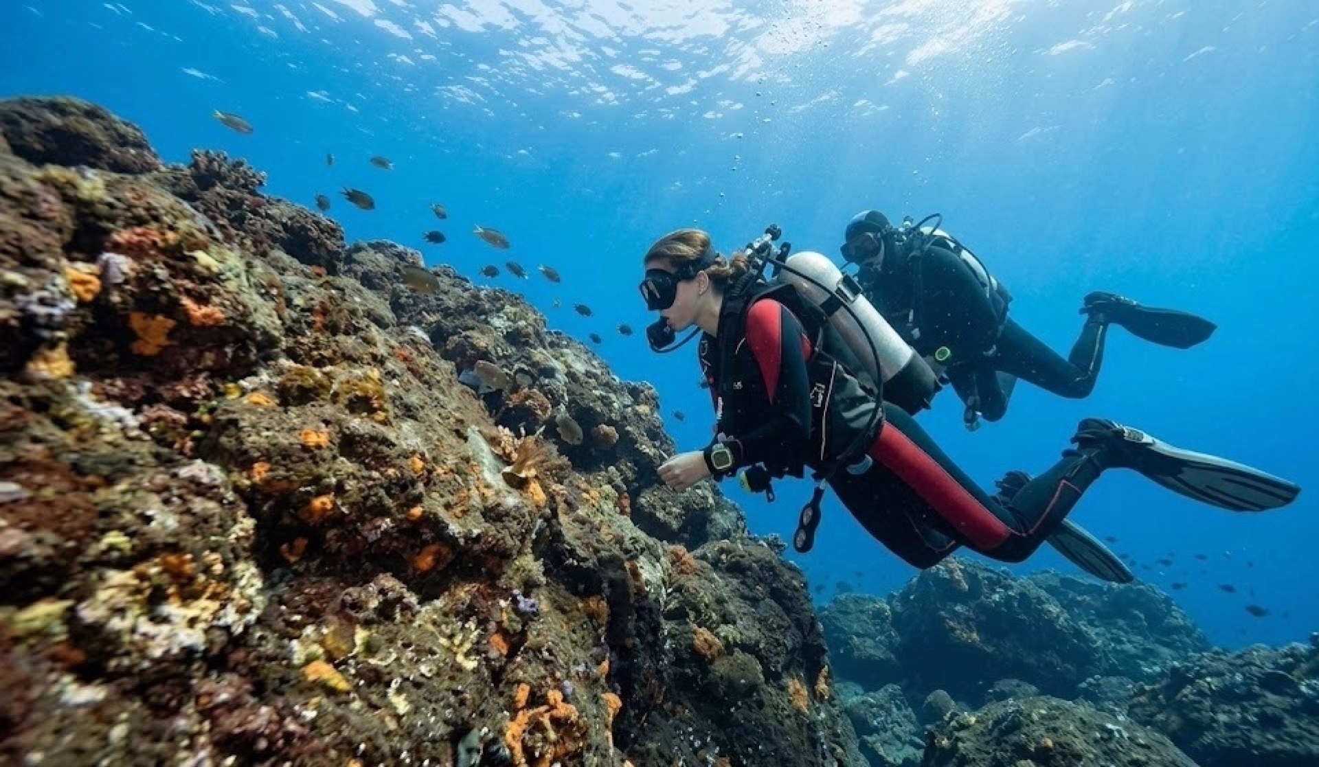 Passez votre Open water diver SSI à Tenerife