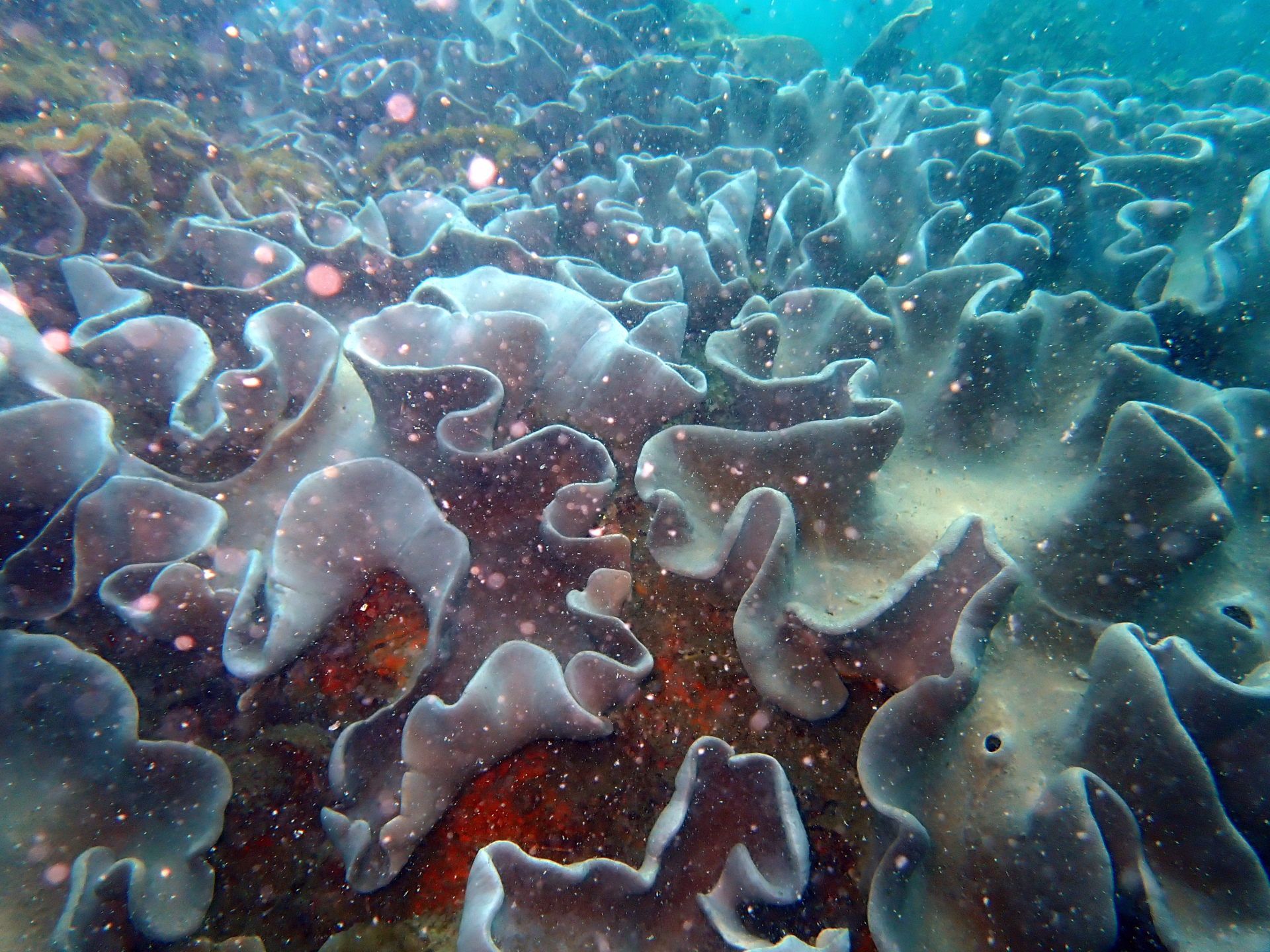 Circuit et plongée au Vietnam Sud de Ho Chi Minh à l'ïle de Phu Quoc