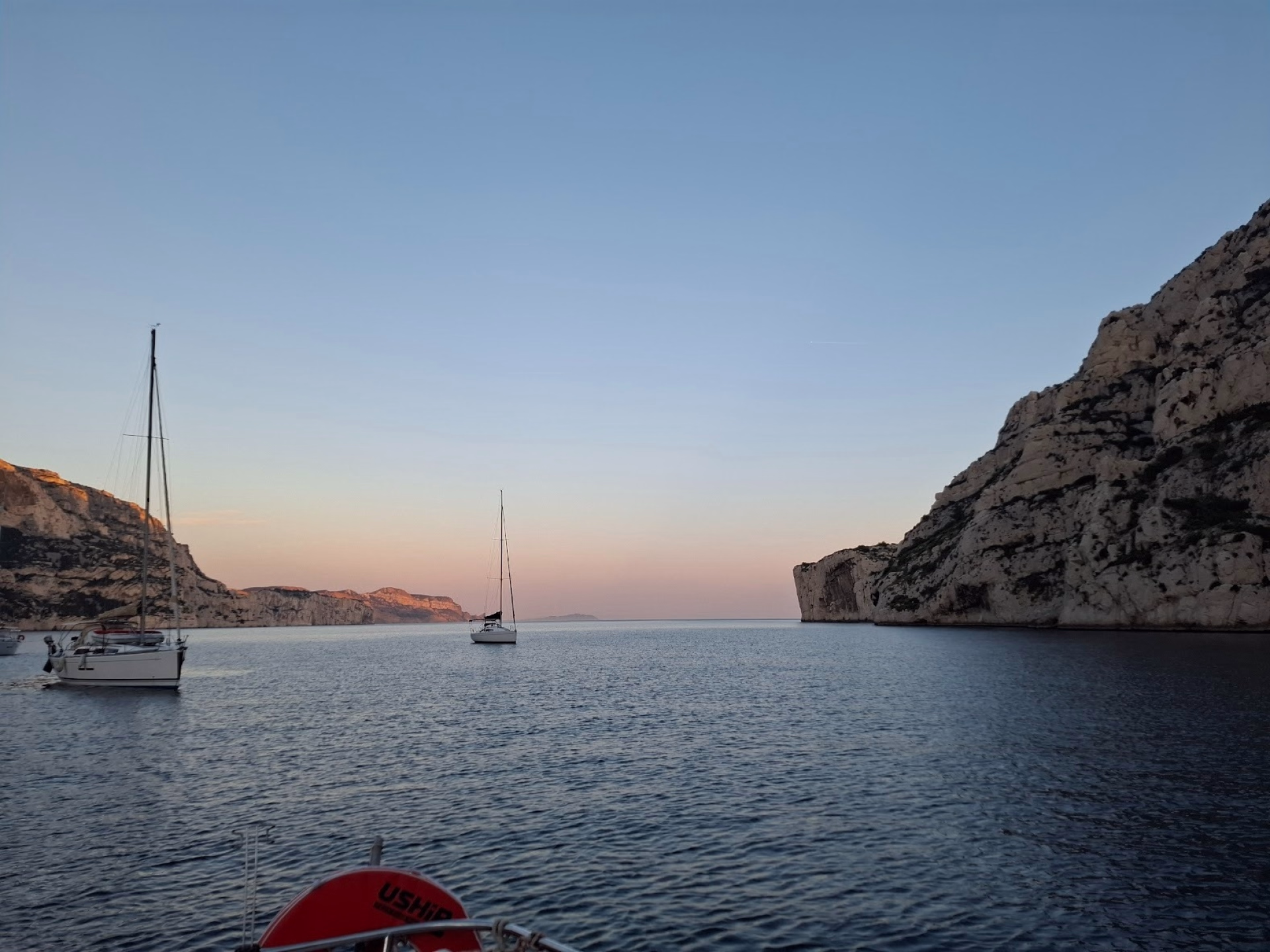 Navigation et observation de la faune marine dans les Calanques