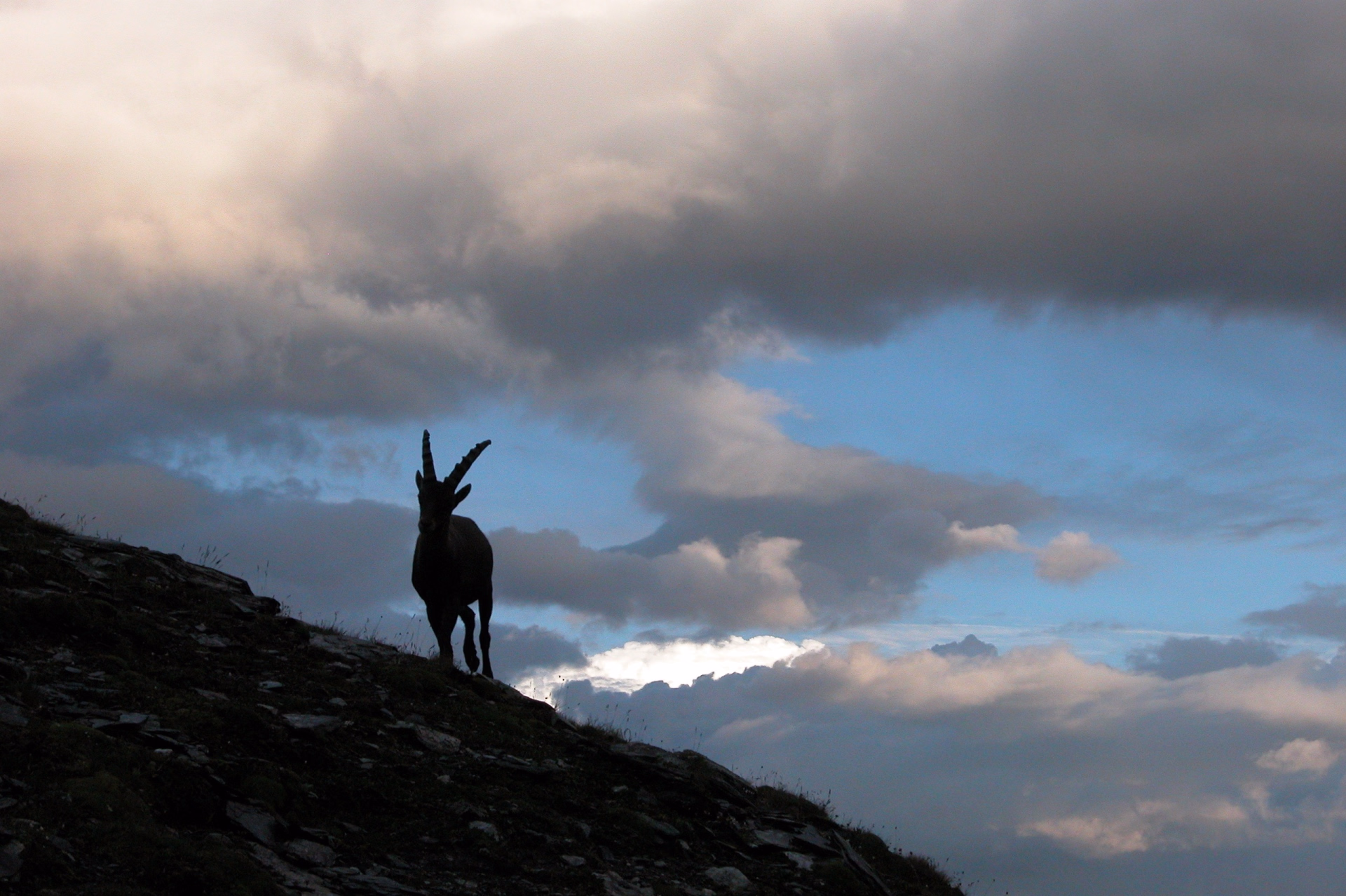Tour du Mont-Viso : l'intégrale en 4 jours par les refuges italiens