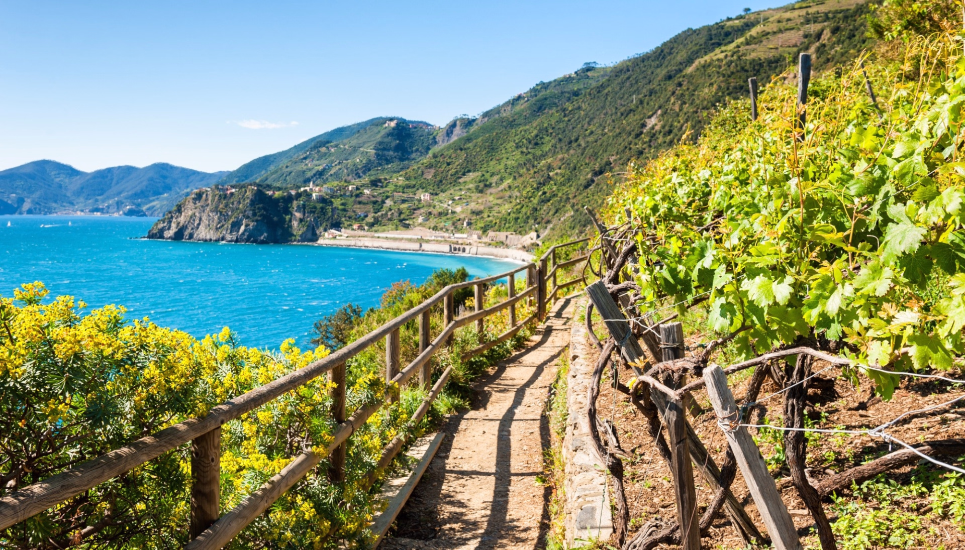 Randonnée dans les Cinque Terre et presqu'île de Portofino