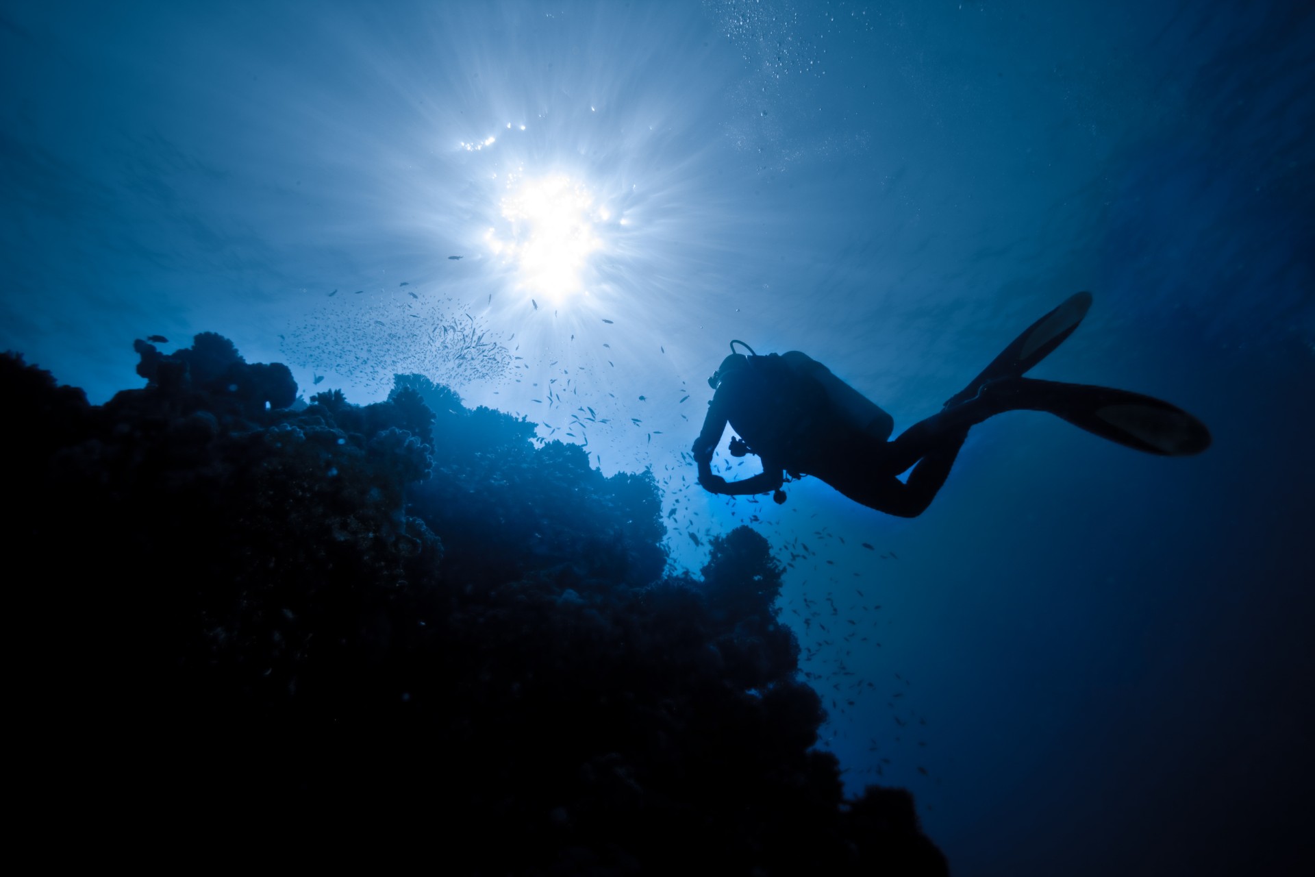 Plongée au Mexique  Explorez les richesses des Caraïbes