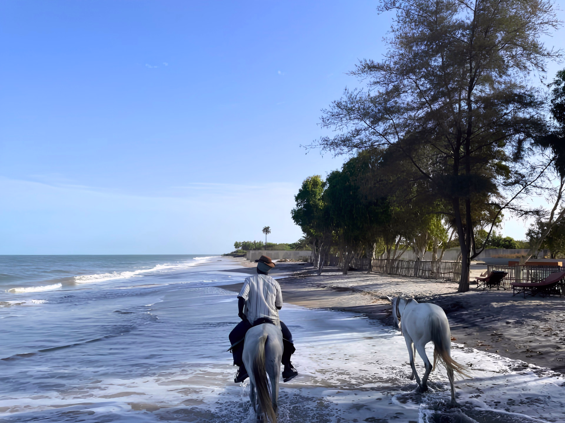 Safari à cheval dans le Sine Saloum au Sénégal