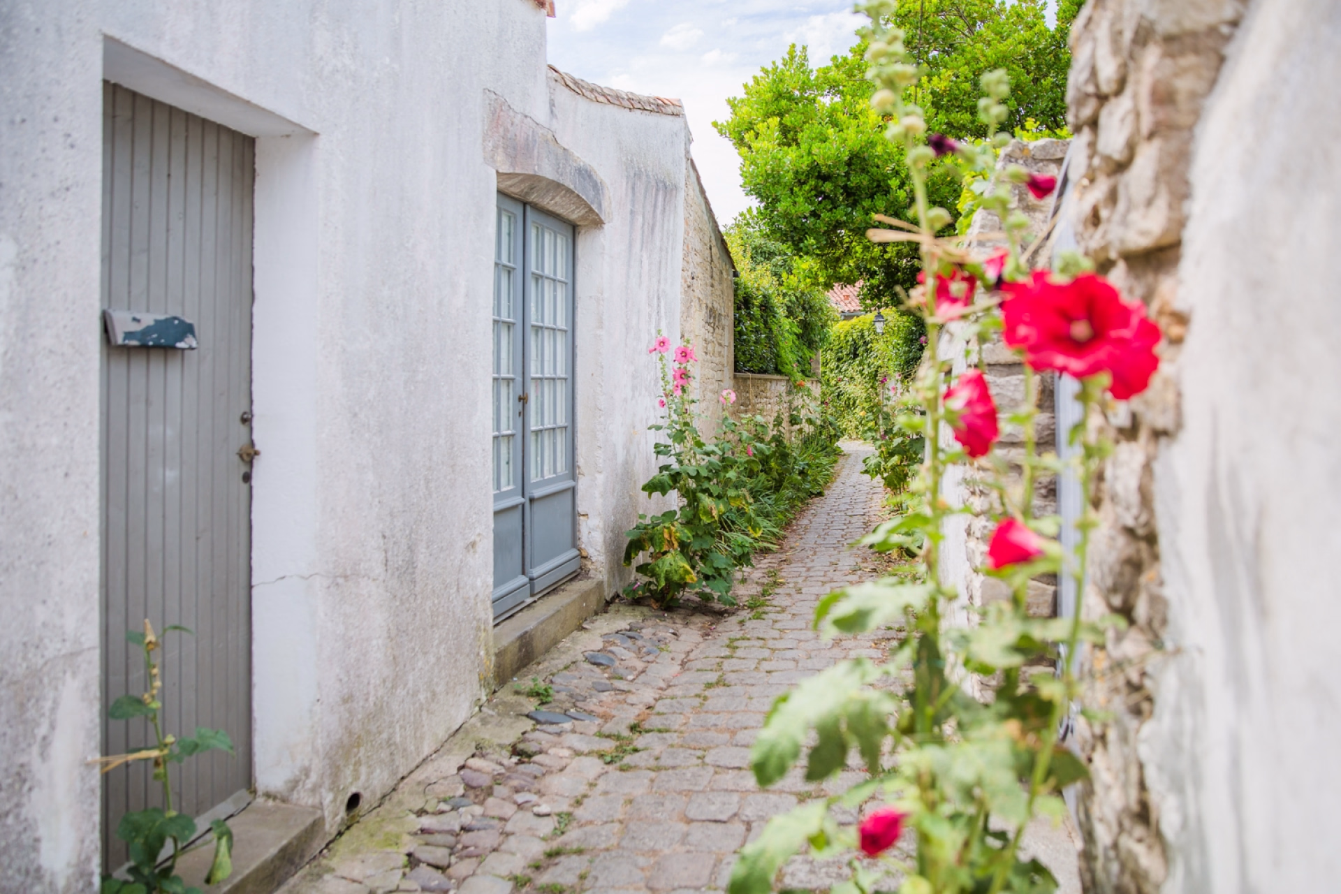 Stage kitesurf x Tribord : immersion exclusive dans le sud ouest