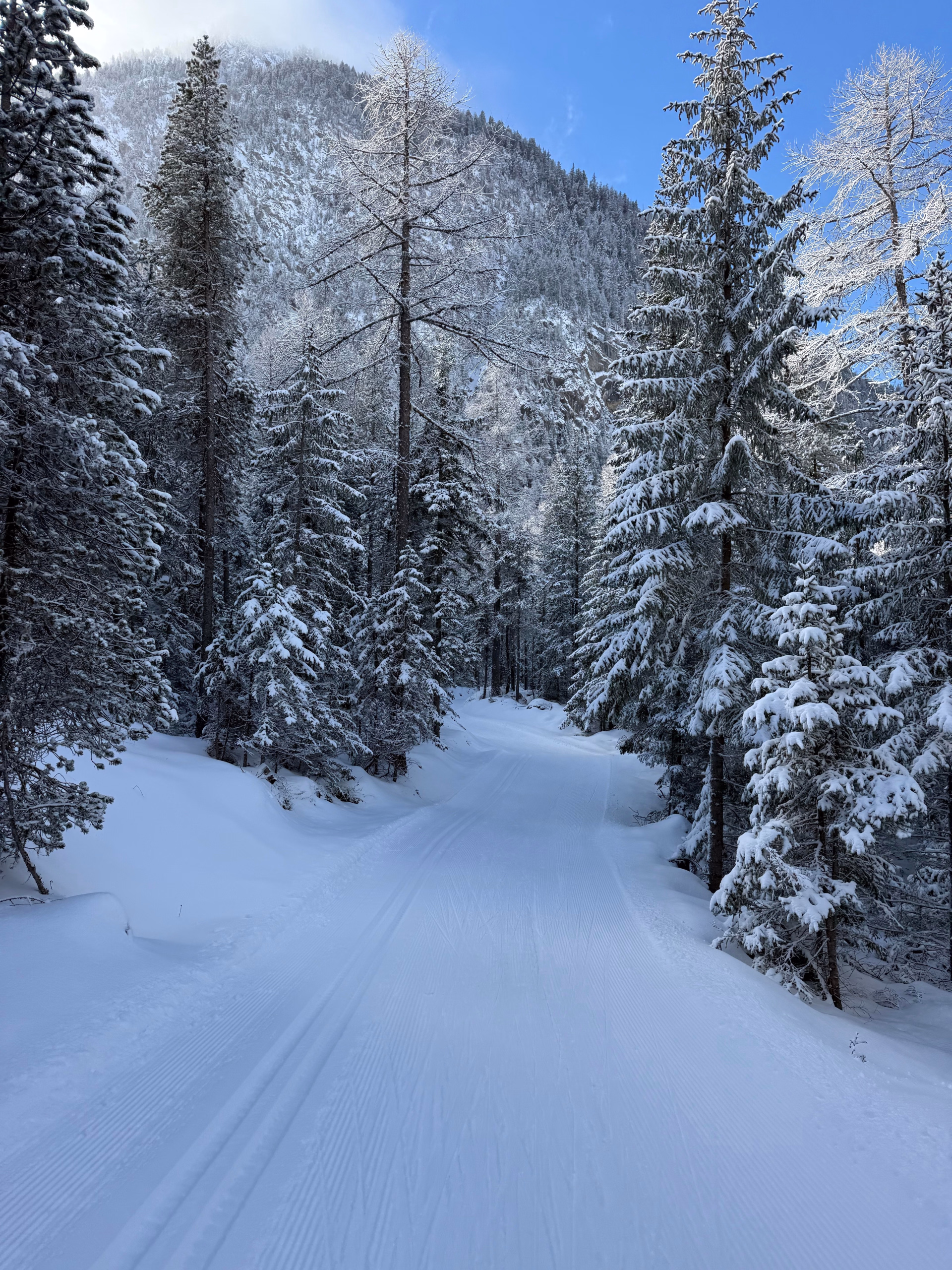 Ski de fond Intermédiaire : Classique, Skating et Biathlon à Guillestre