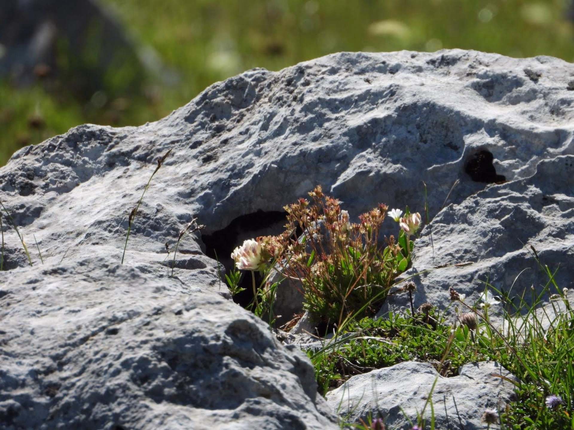 Randonnée liberté au cœur du Vercors drômois