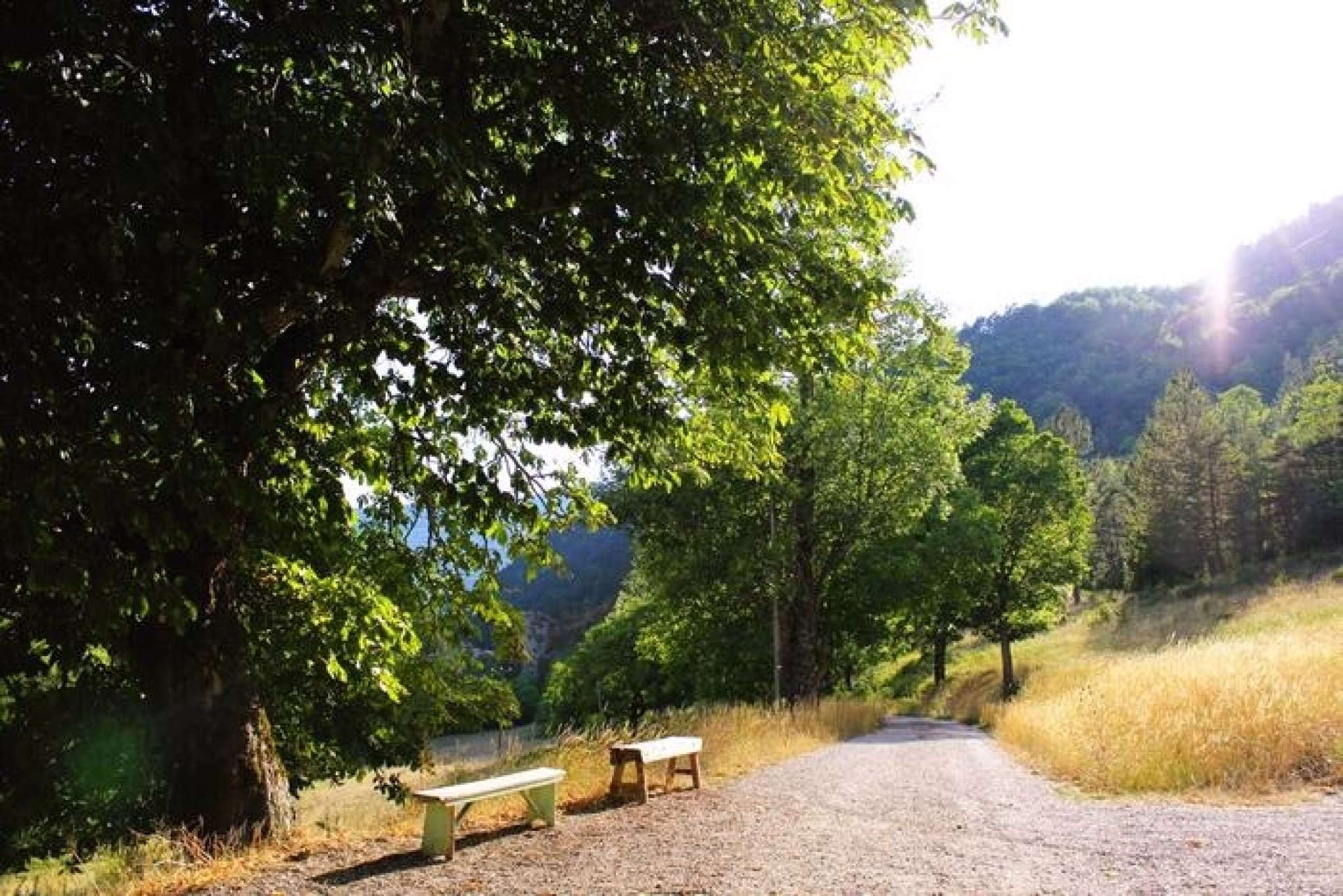 🏠 Auberge - Jour 1