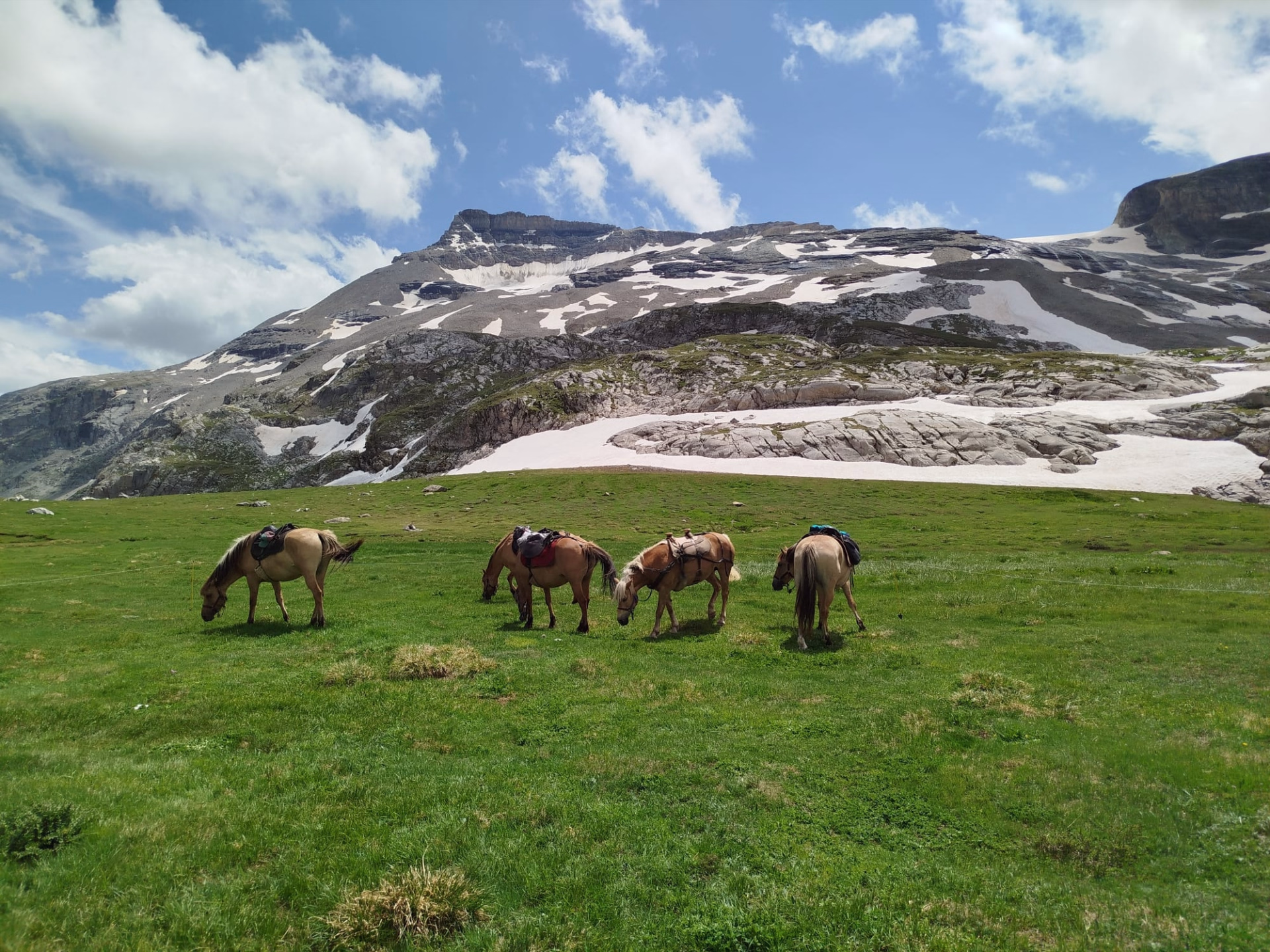 Randonnée équestre en Vanoise et nuits en refuge