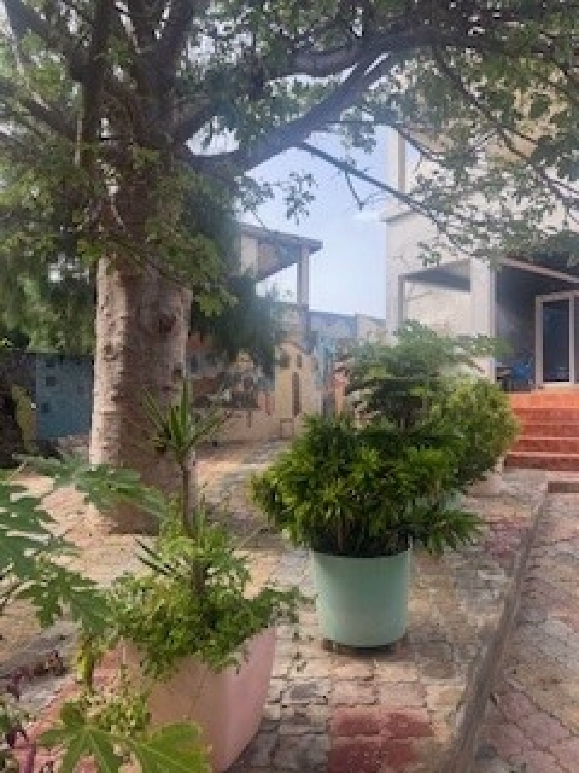 L'excellence du surf, au cœur de l'île de Ngor au large du Sénégal