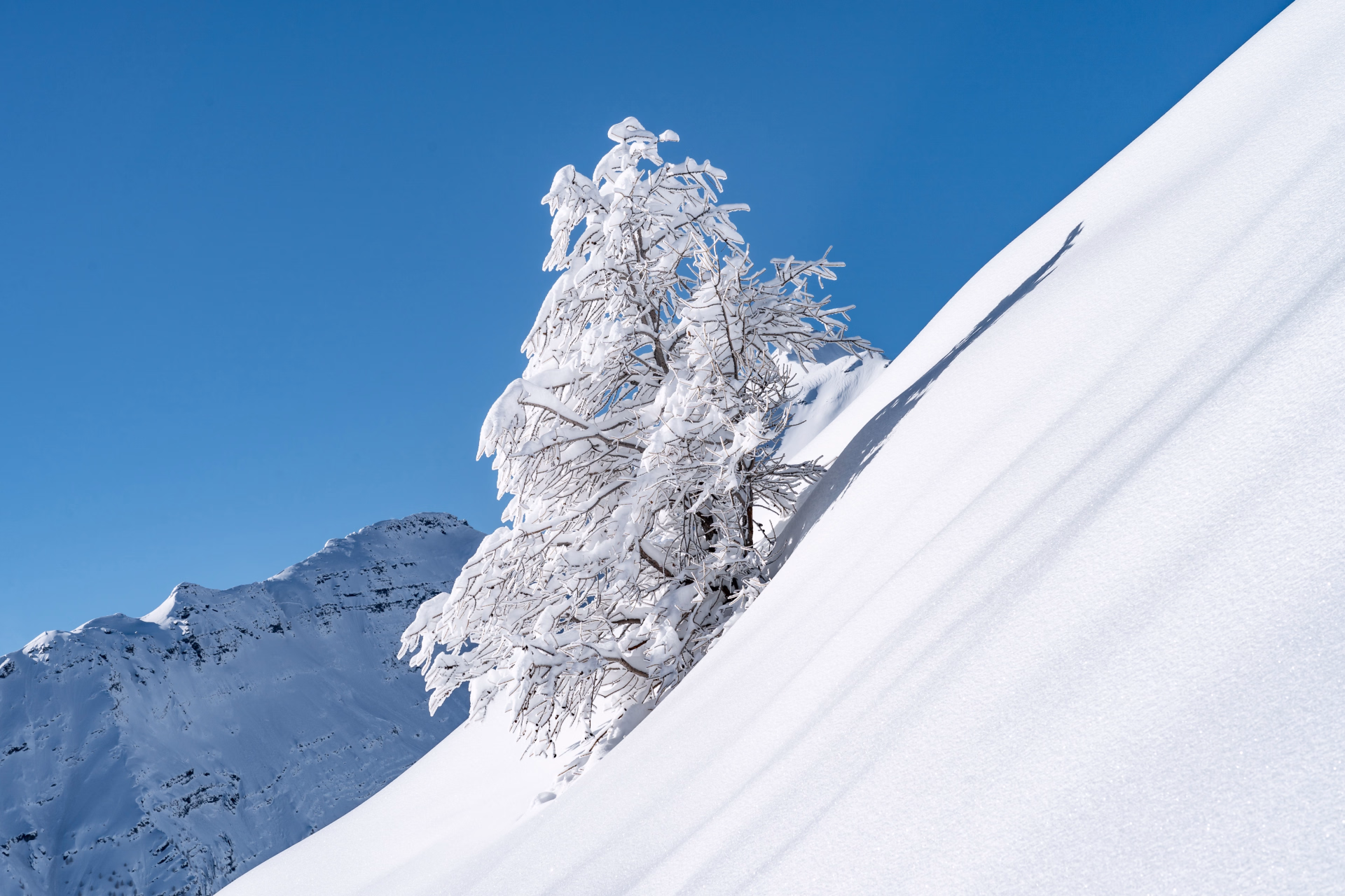 Ski freeride à Pelvoux-Vallouise