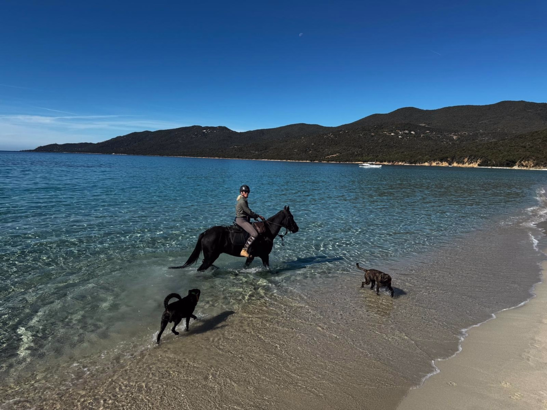 Randonnée équestre en Corse : des crêtes du Taravu au GR20