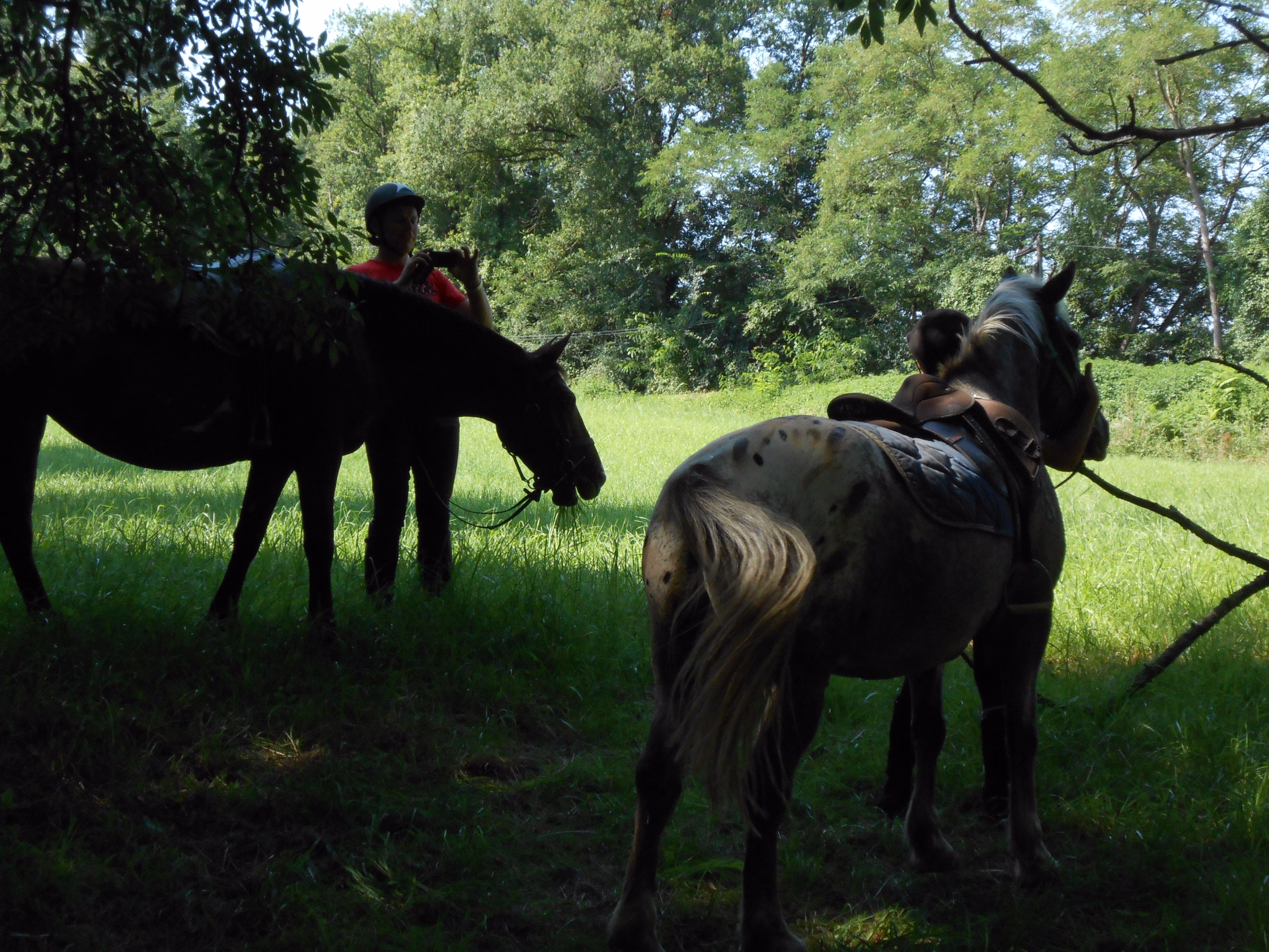 Randonnée à cheval et détente en Gascogne