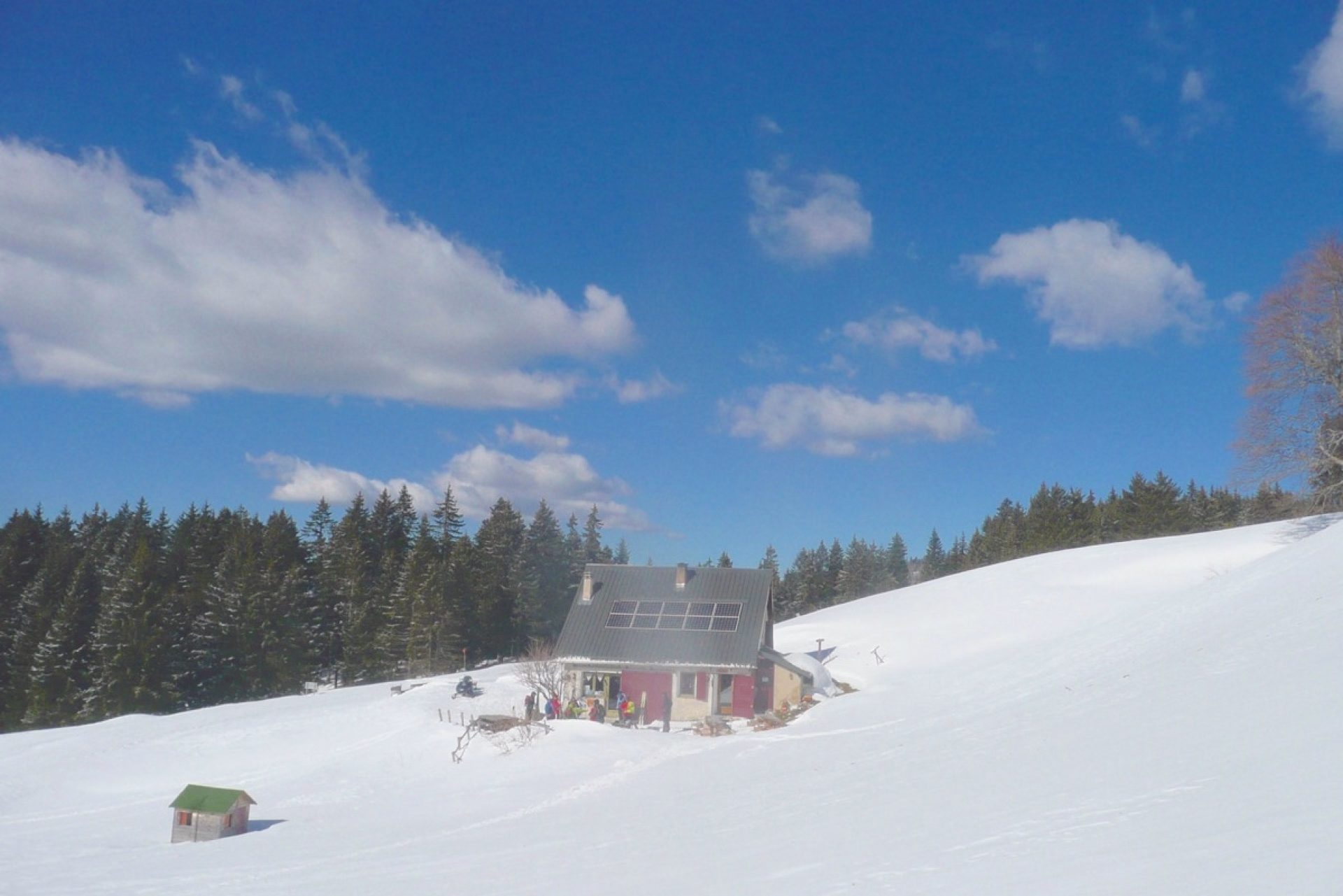 Initiation au ski de randonnée nordique dans le Vercors